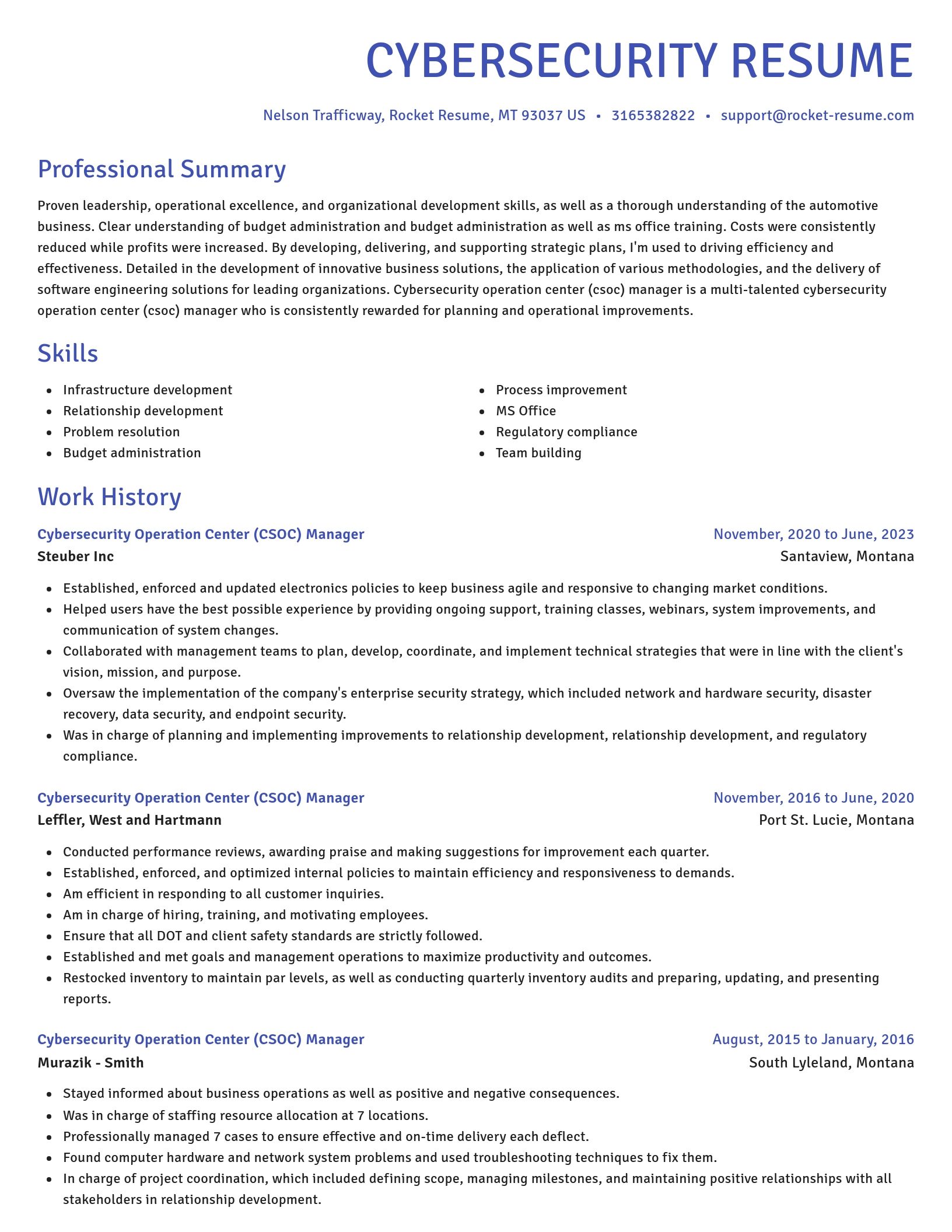 Novel resume template