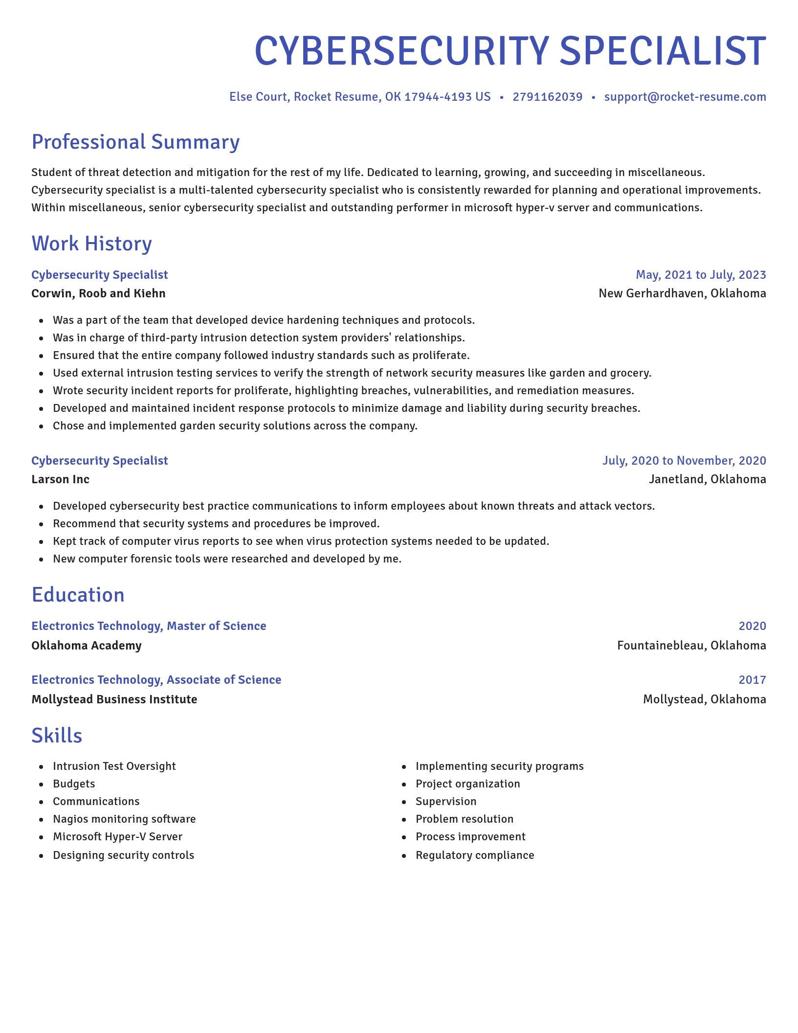 Novel resume template