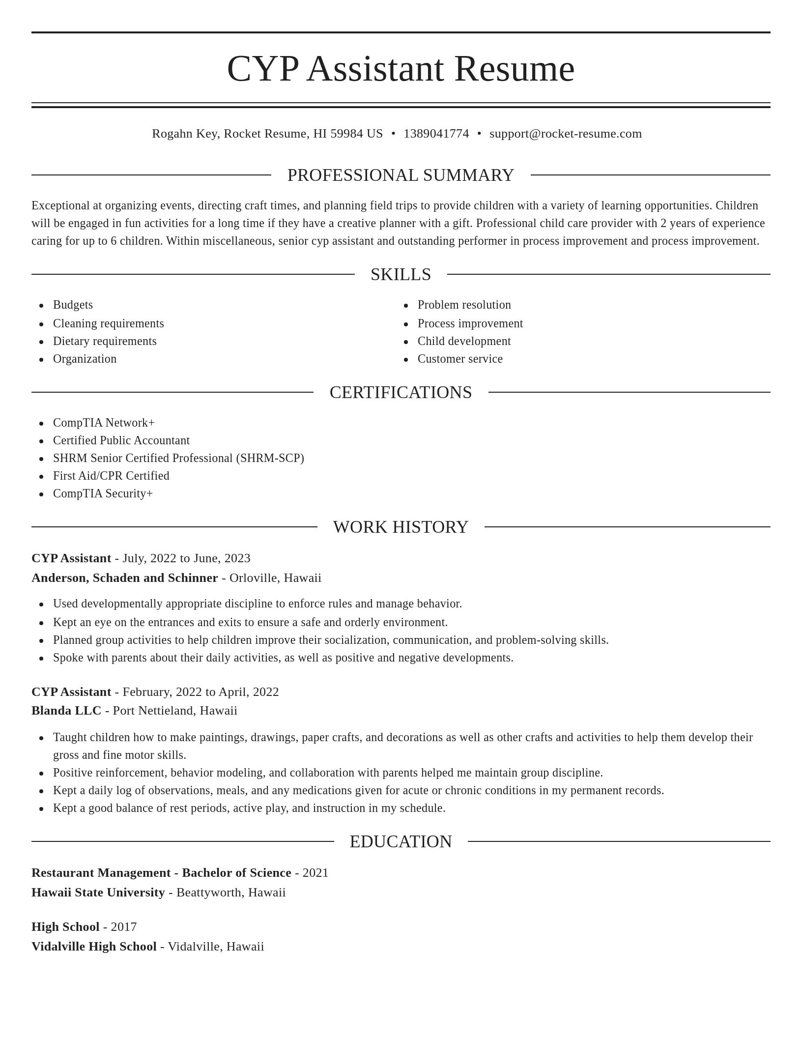 Elegant resume template