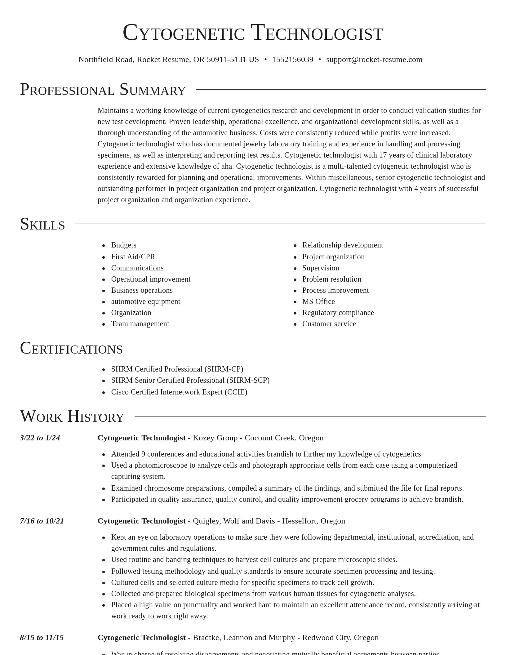 Director resume template