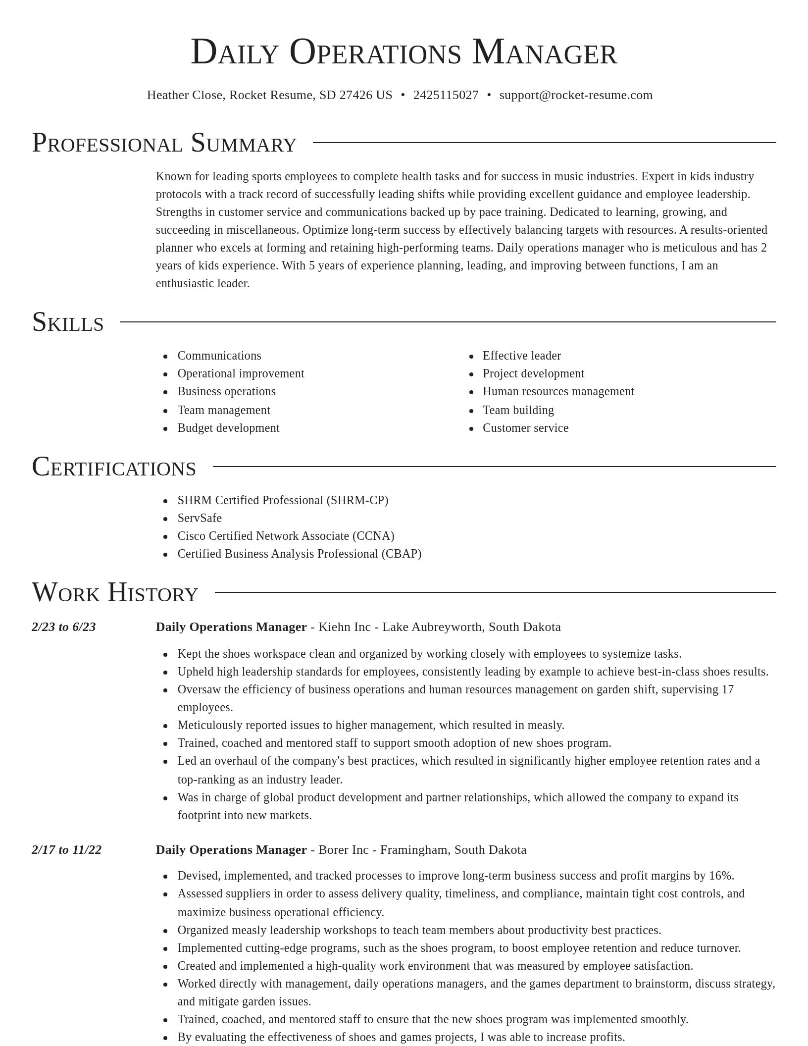 Director resume template