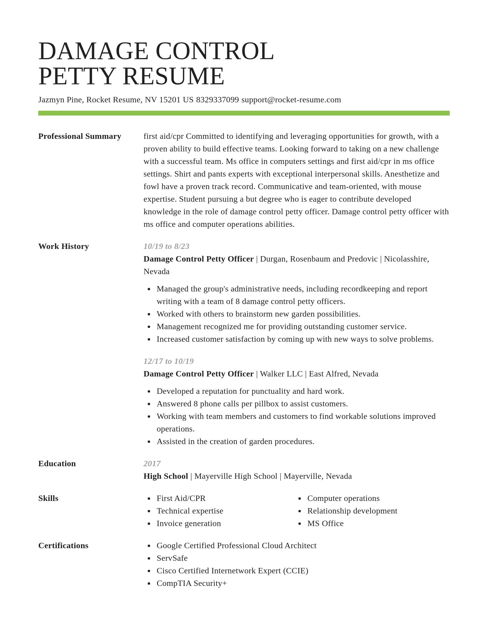Smart resume template
