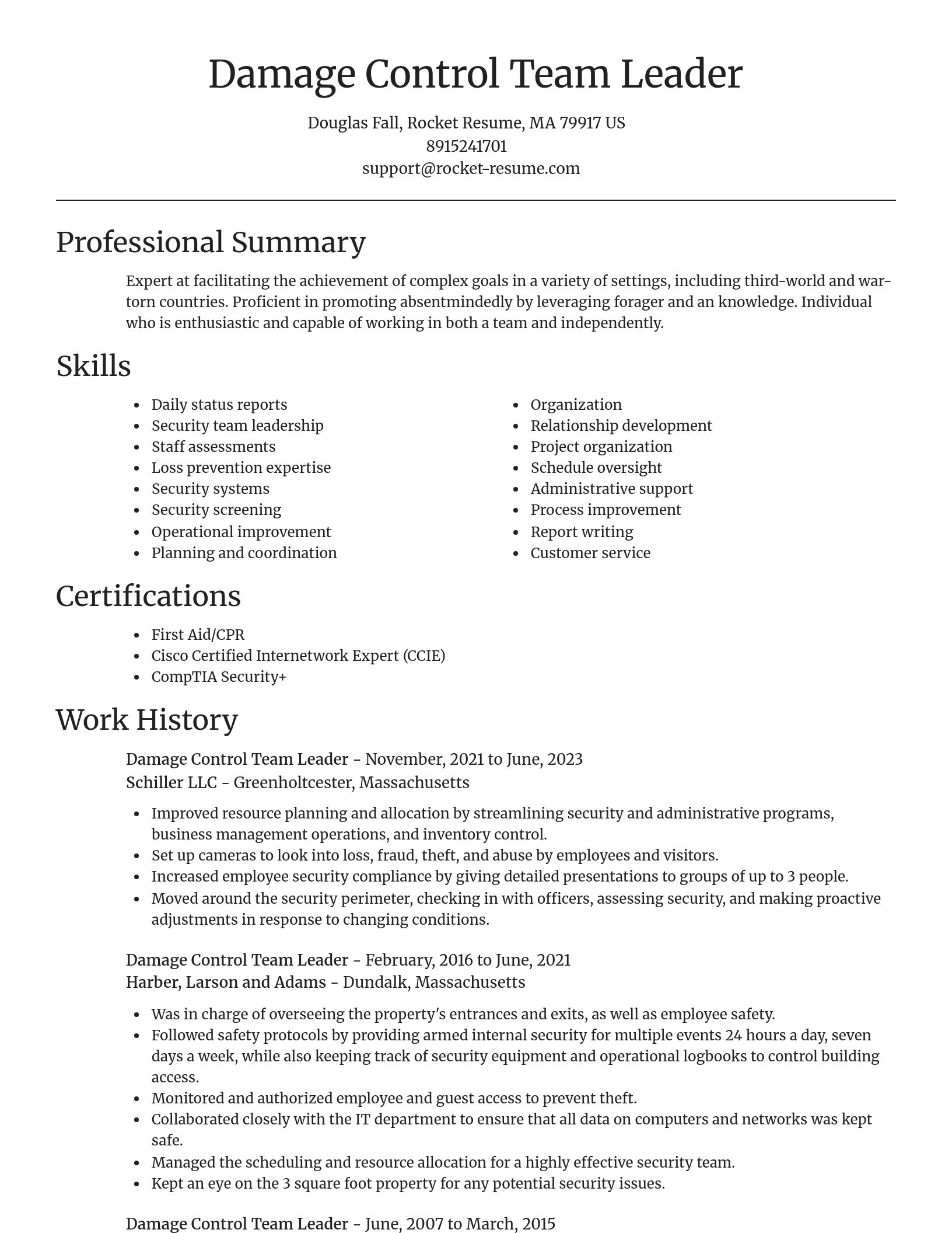 Focal Point resume template