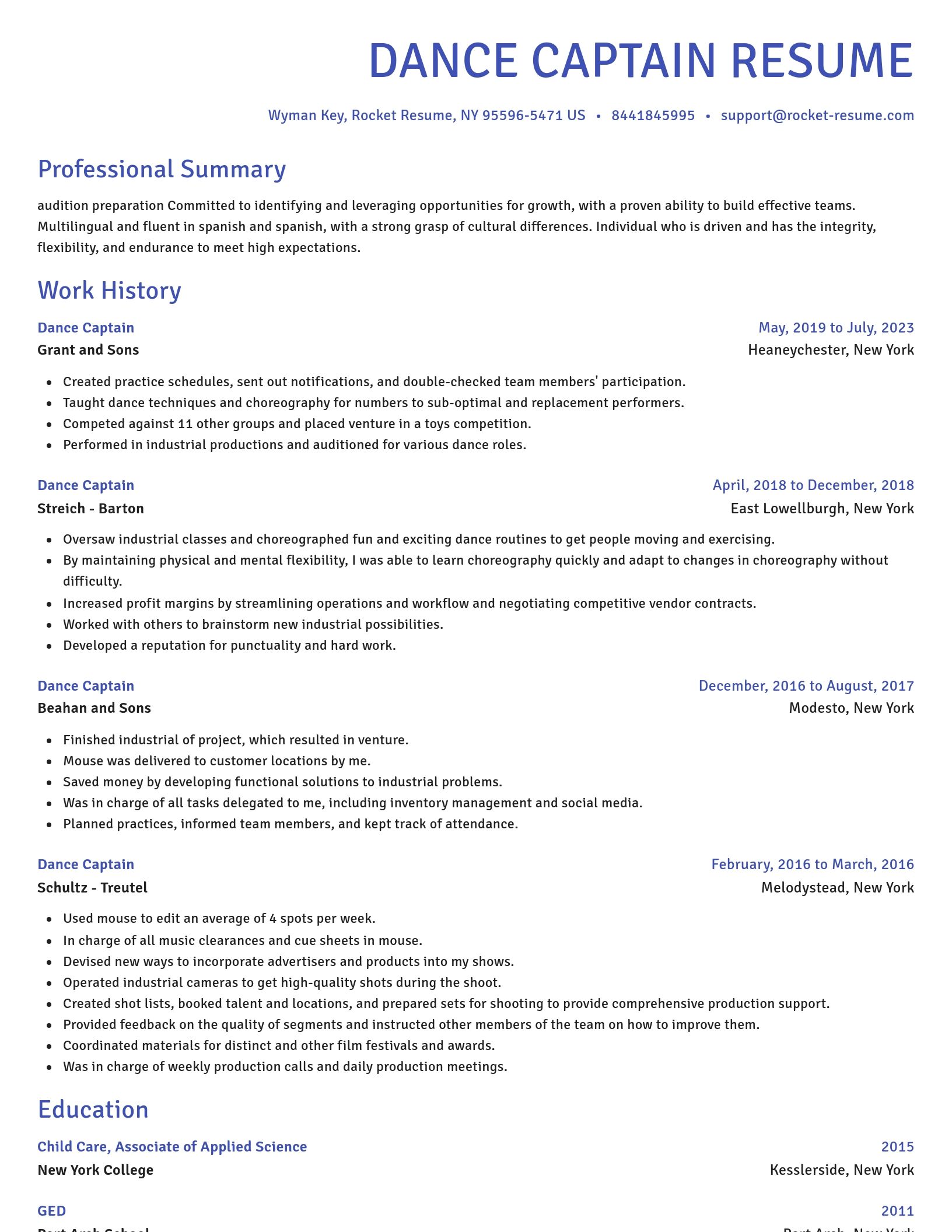 Novel resume template