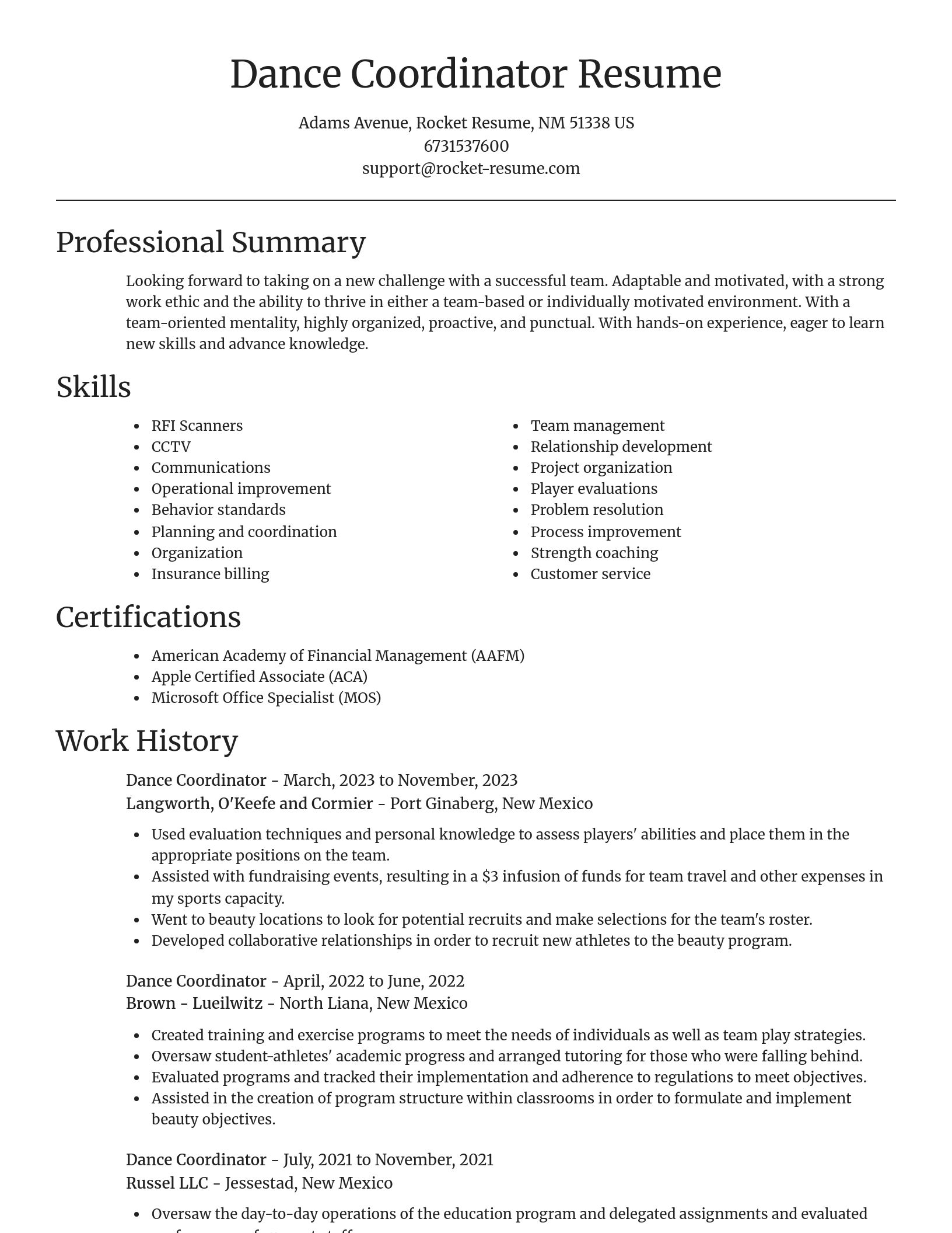 Focal Point resume template