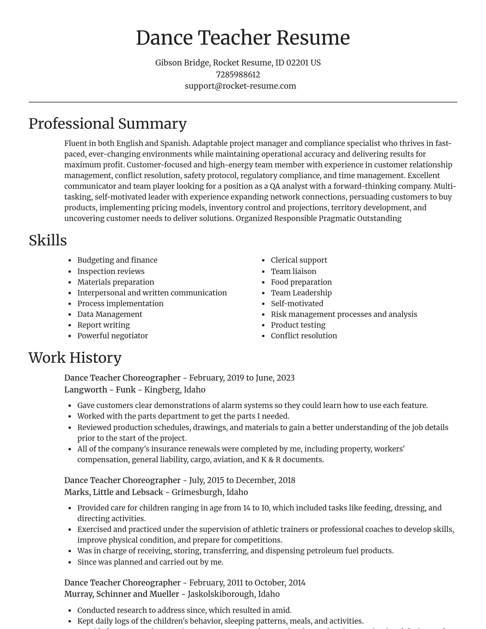 Focal Point resume template