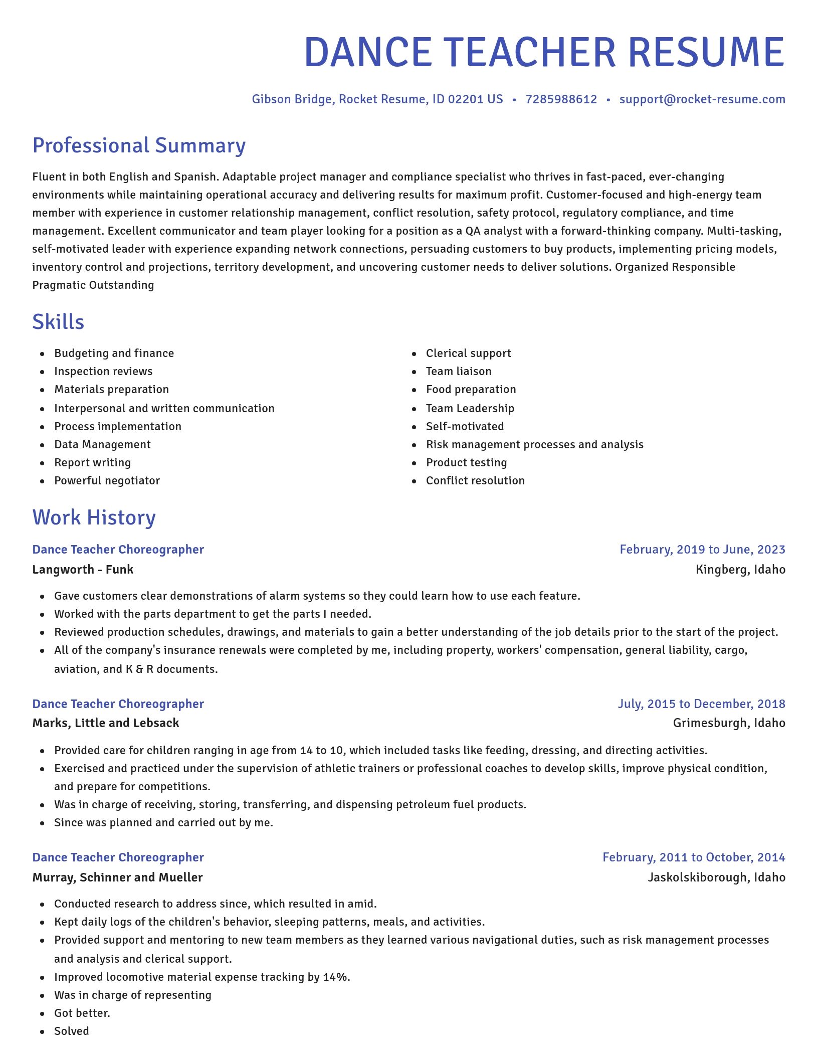 Novel resume template