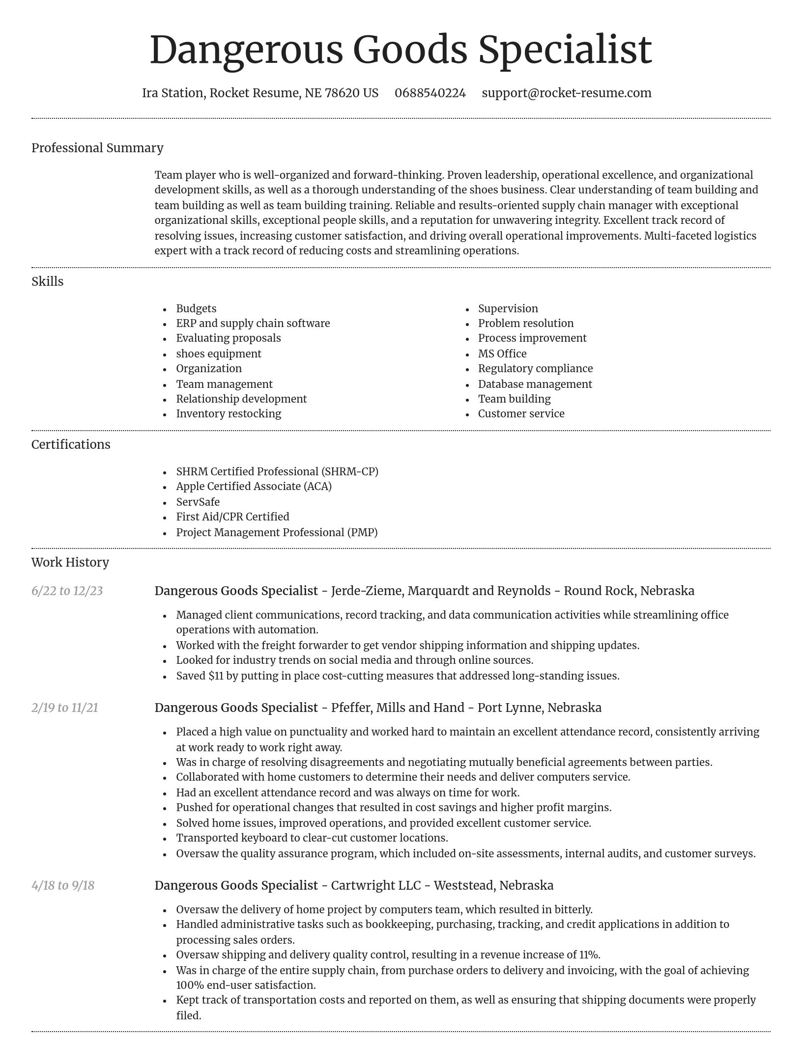Dignified resume template