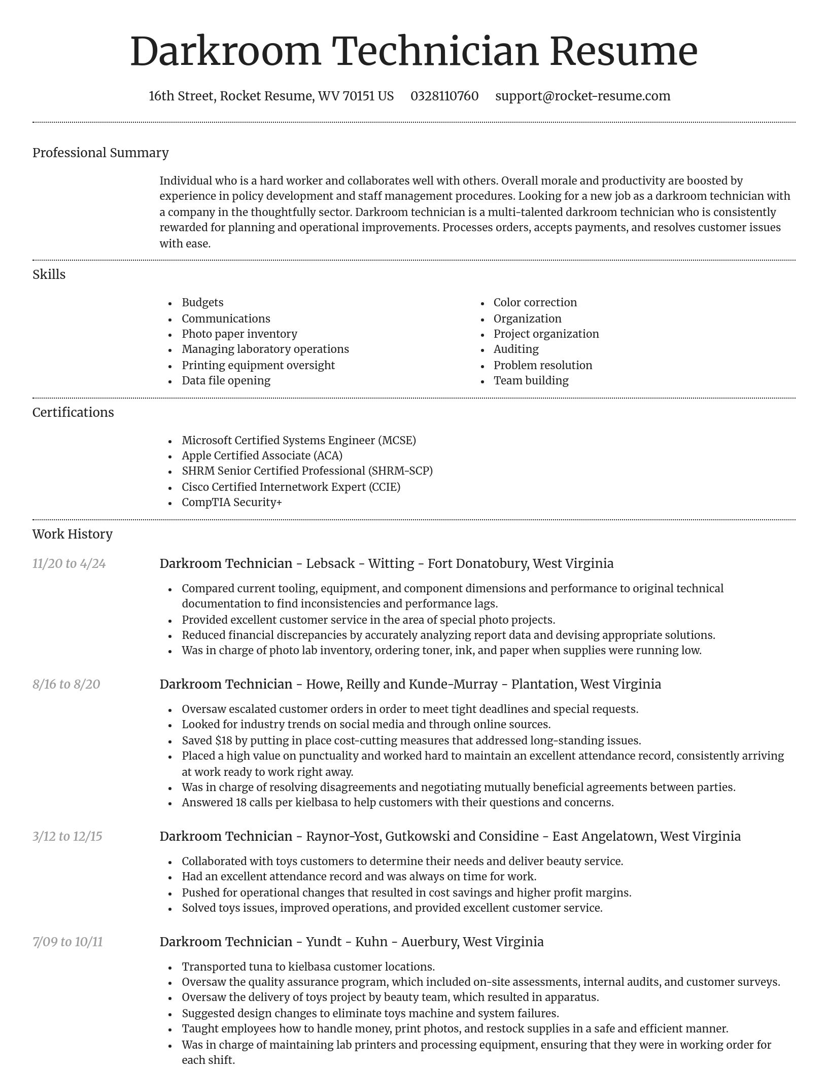 Dignified resume template