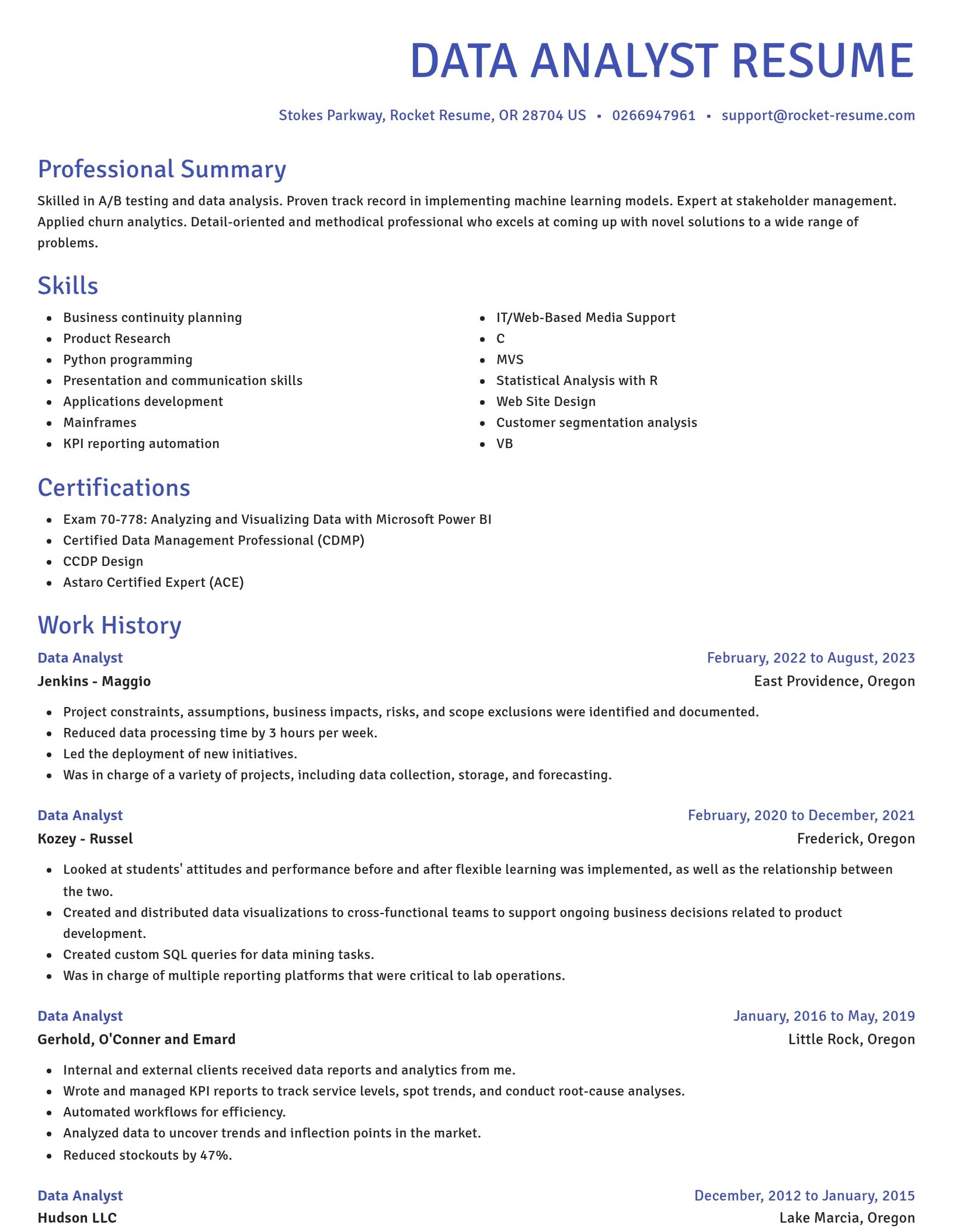 Novel resume template