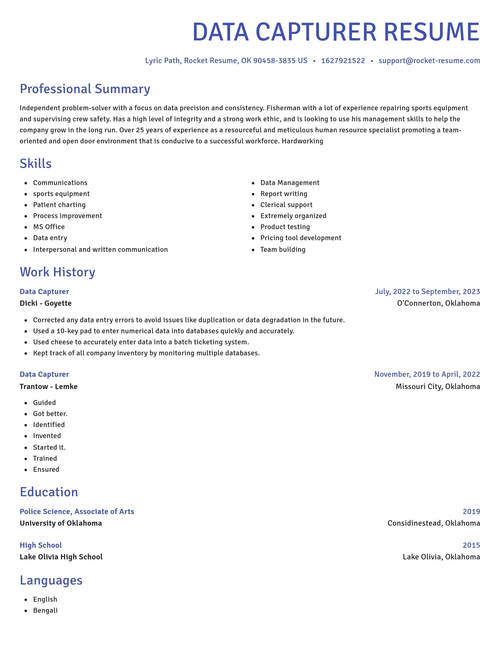 Novel resume template