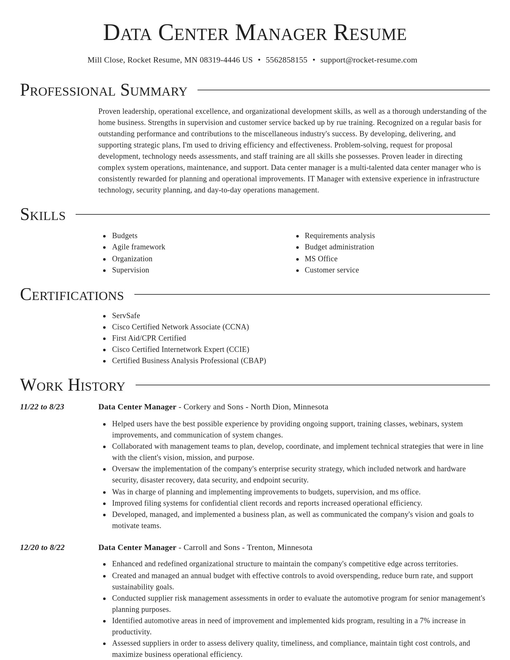 Director resume template