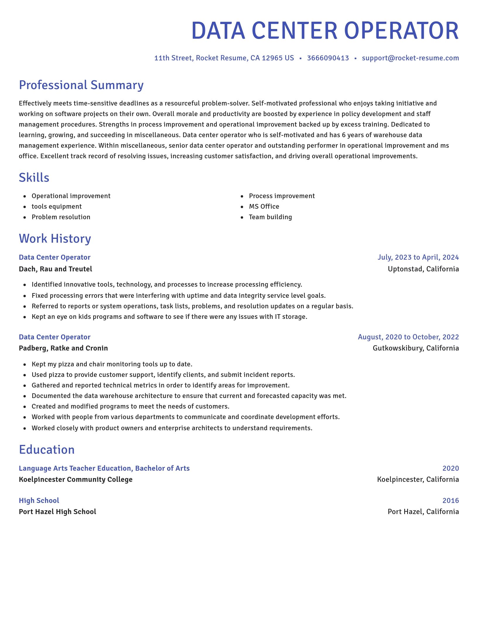 Novel resume template