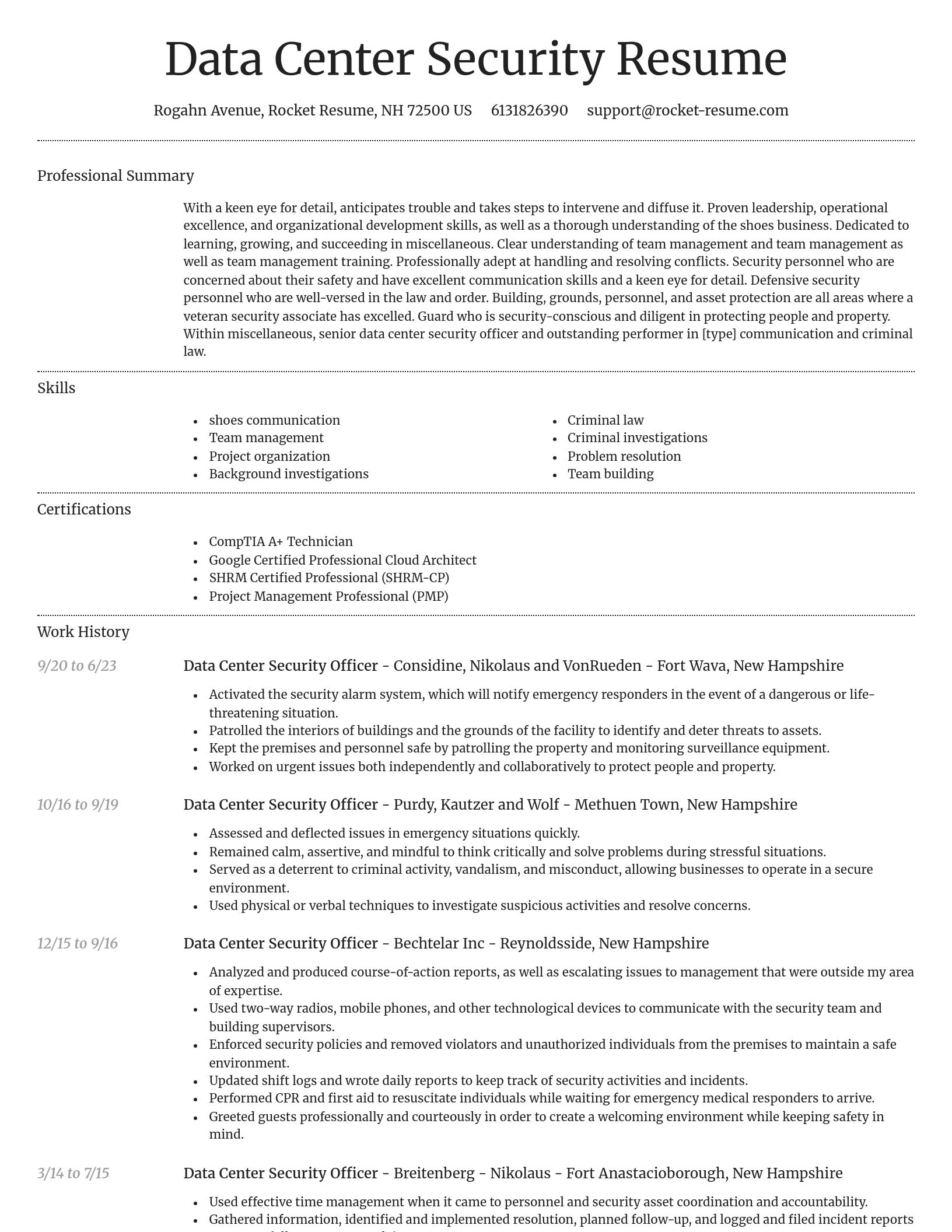 Dignified resume template