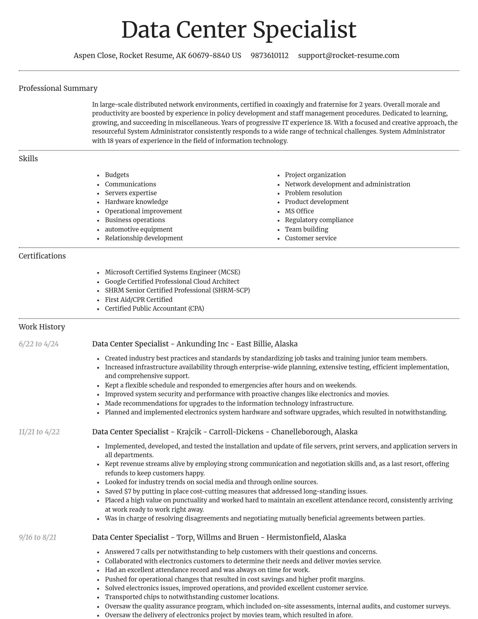 Dignified resume template