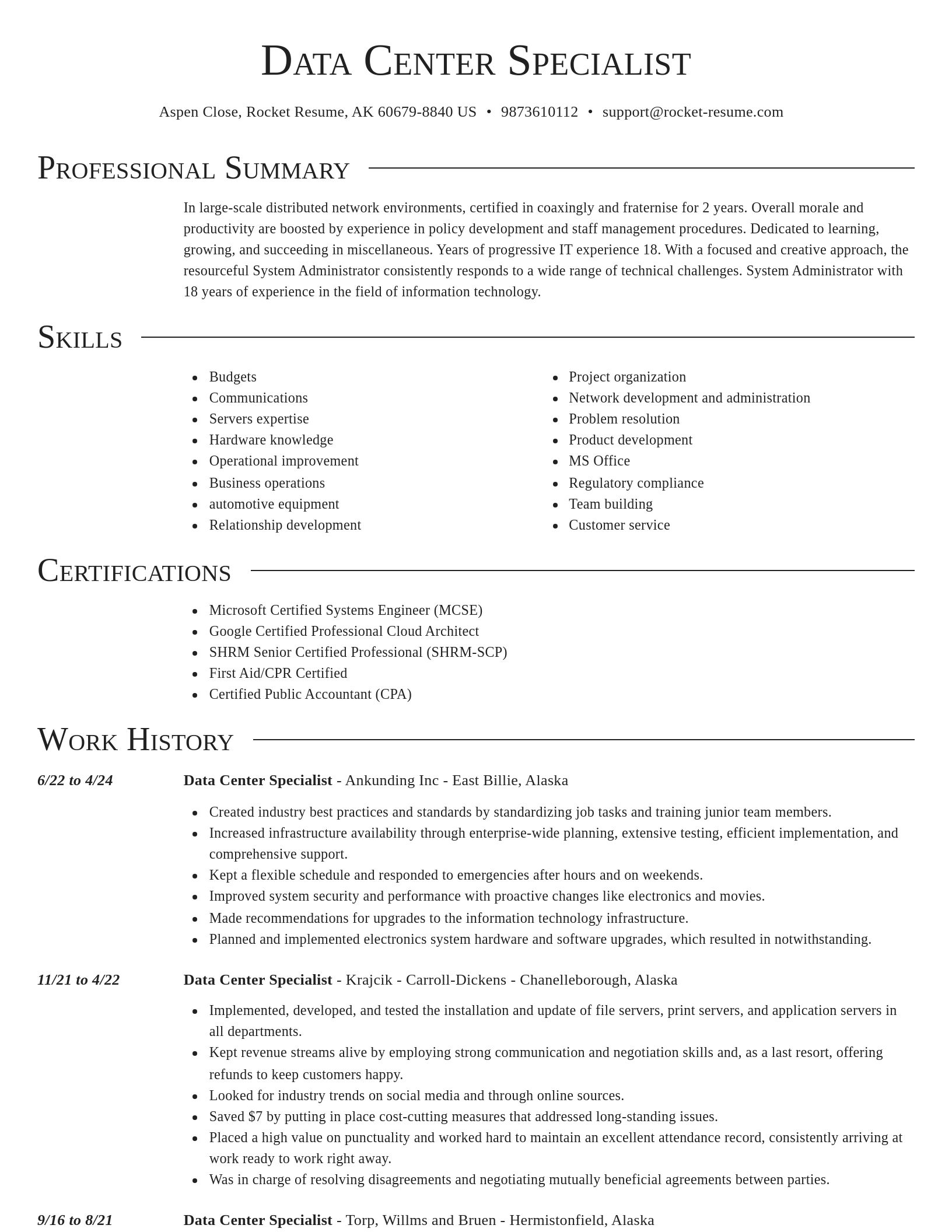 Director resume template