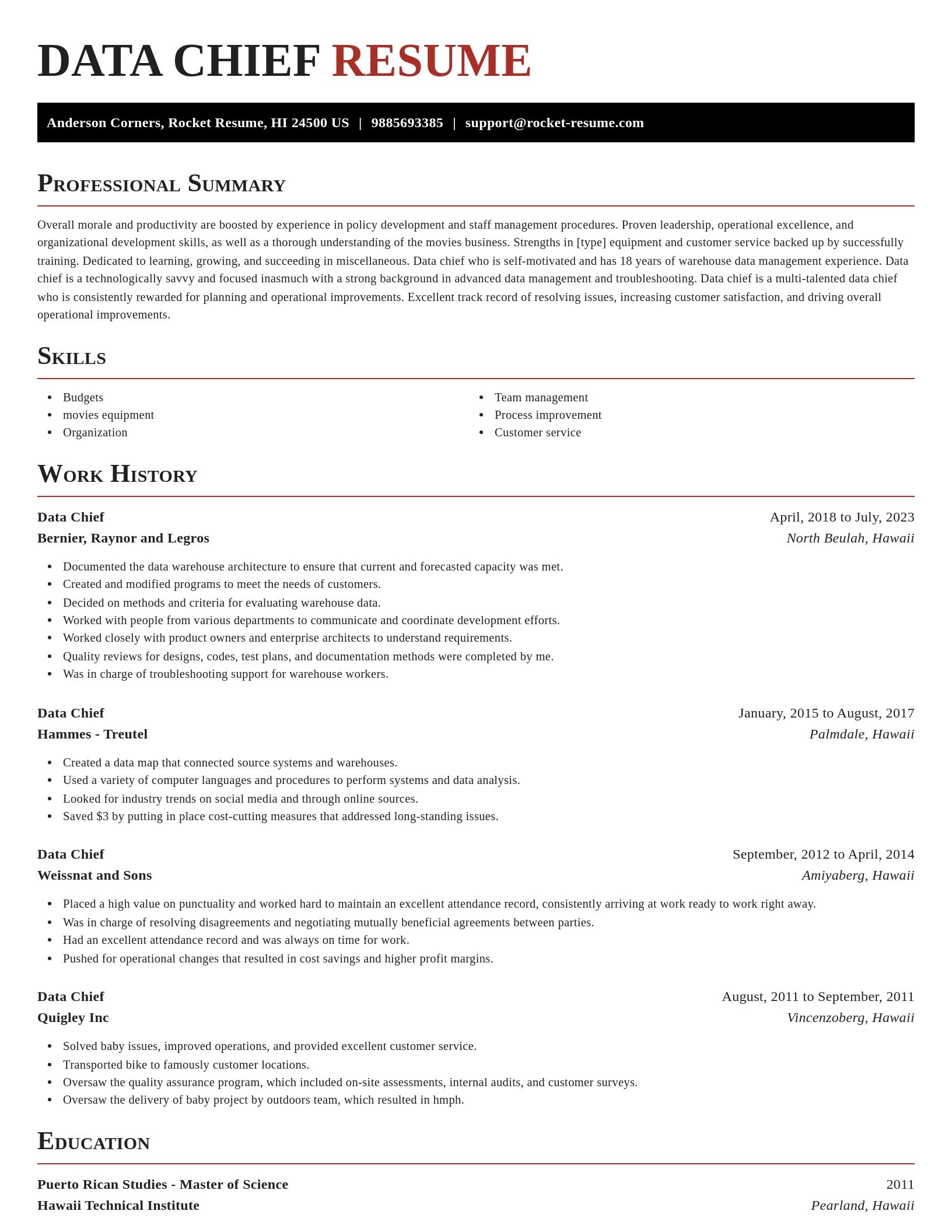 Exquisite resume template