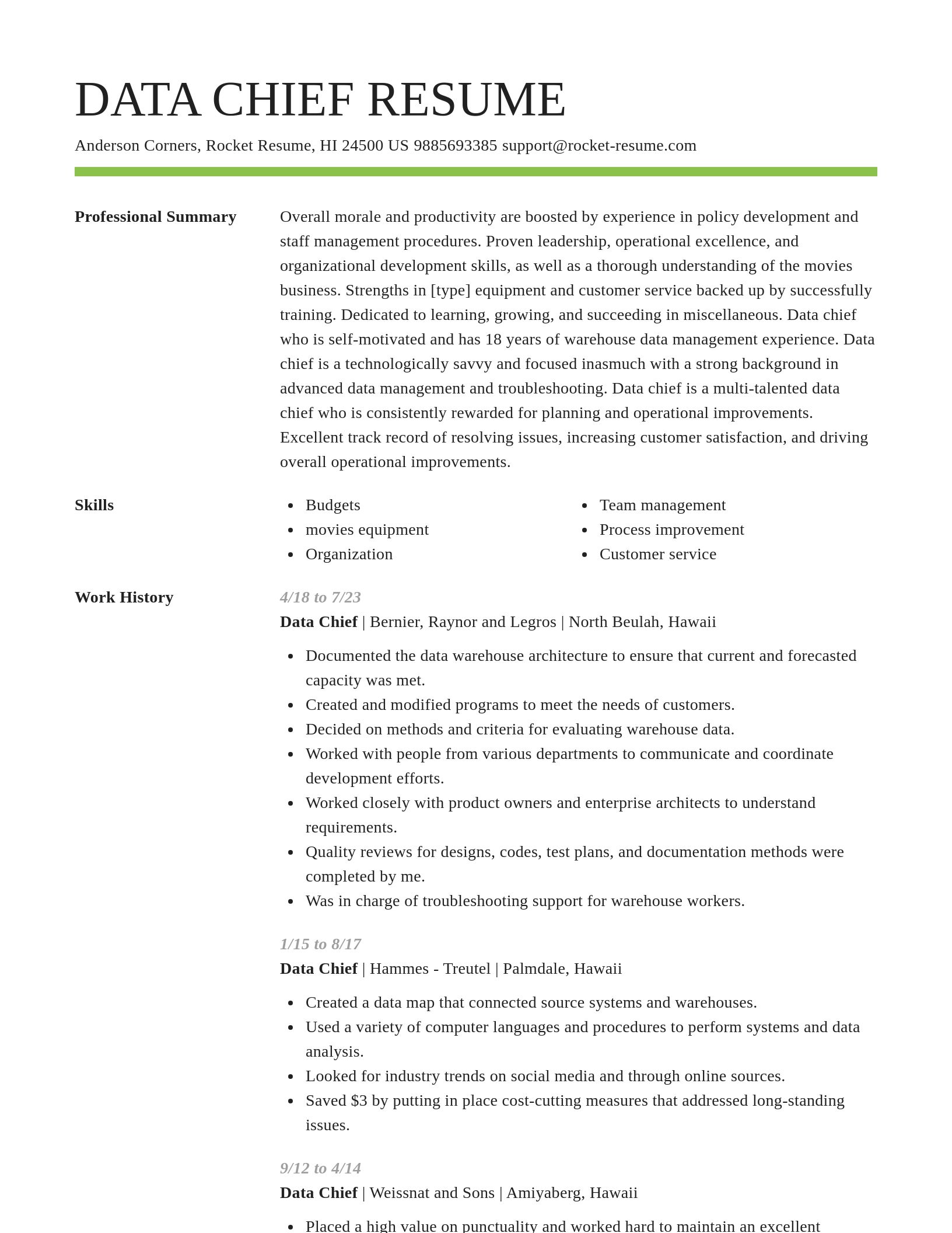 Smart resume template