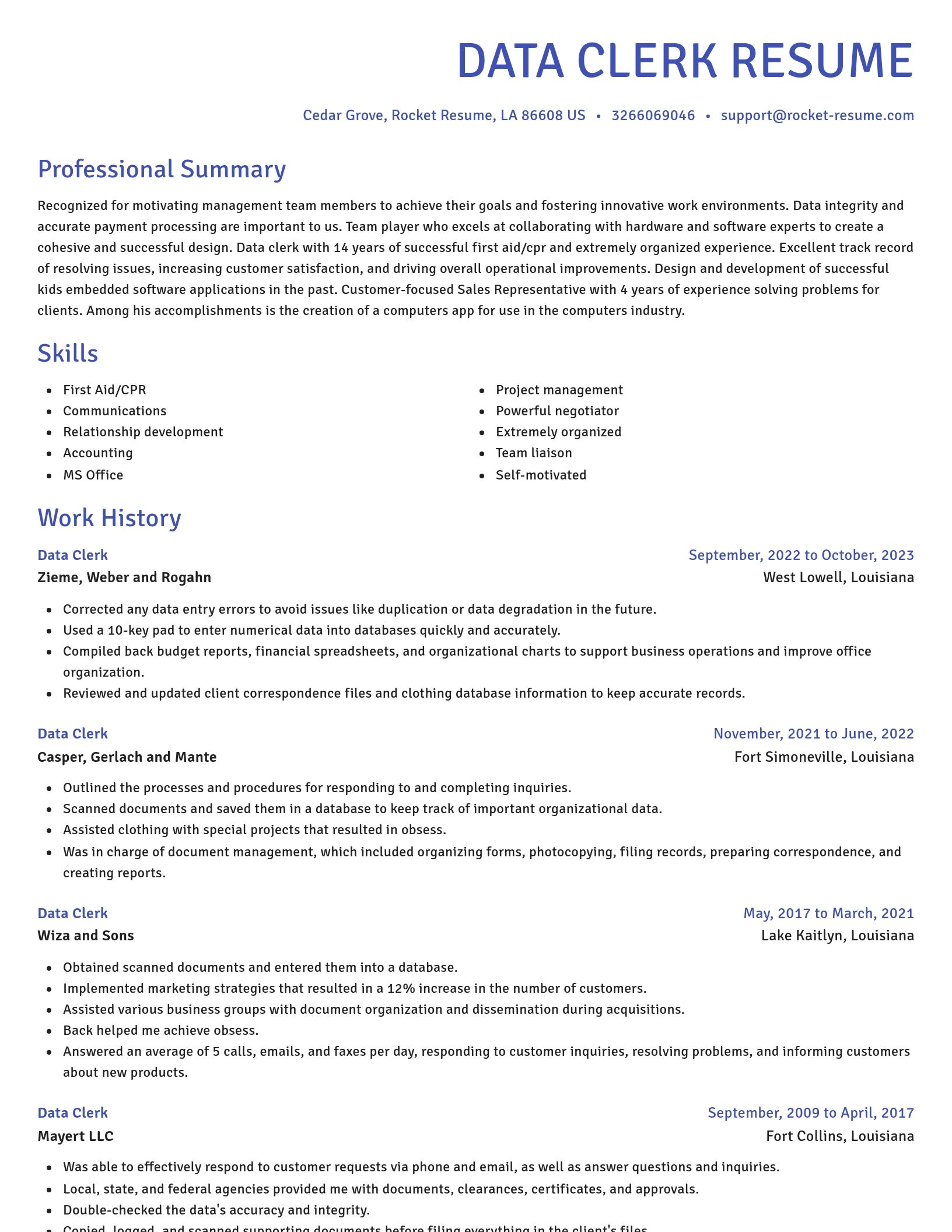 Novel resume template