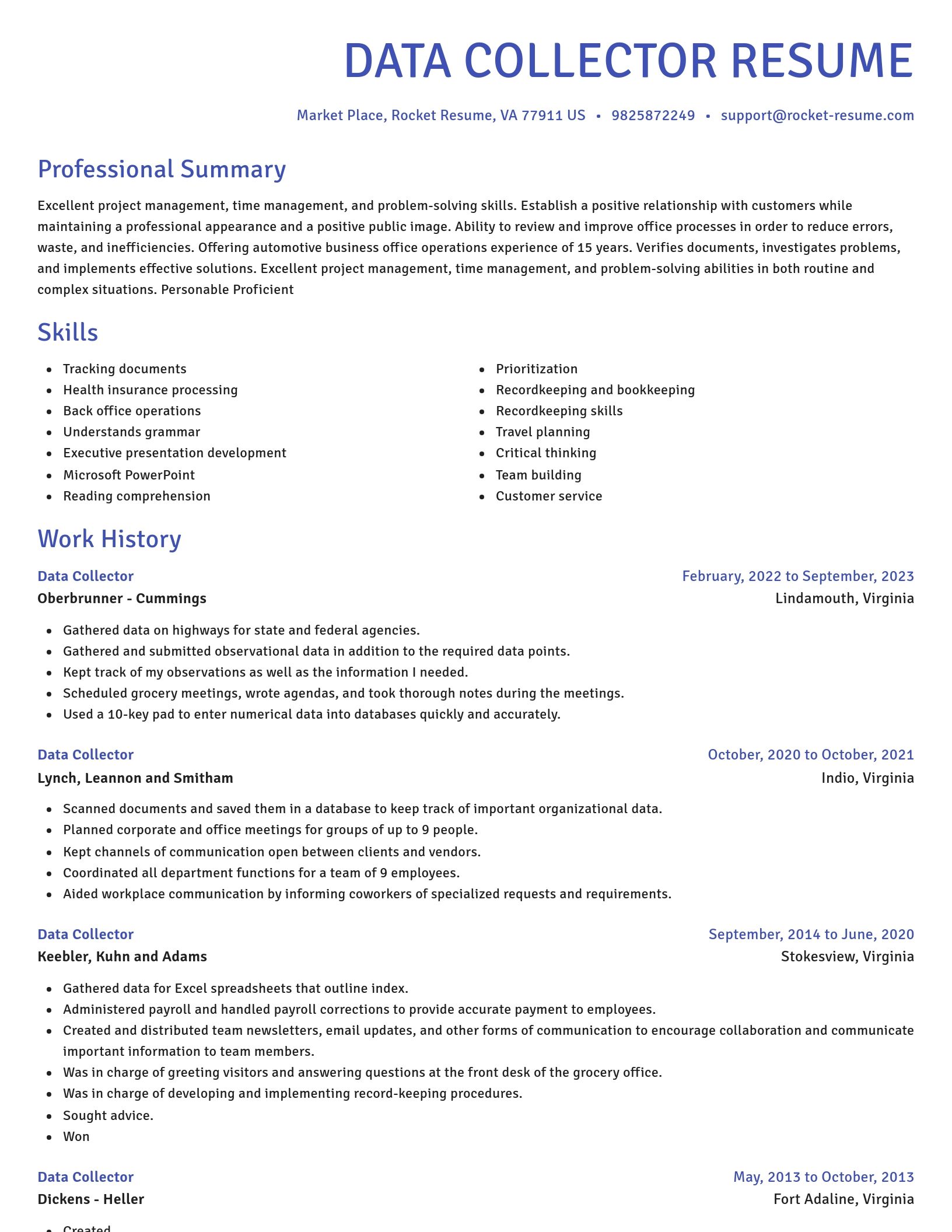 Novel resume template
