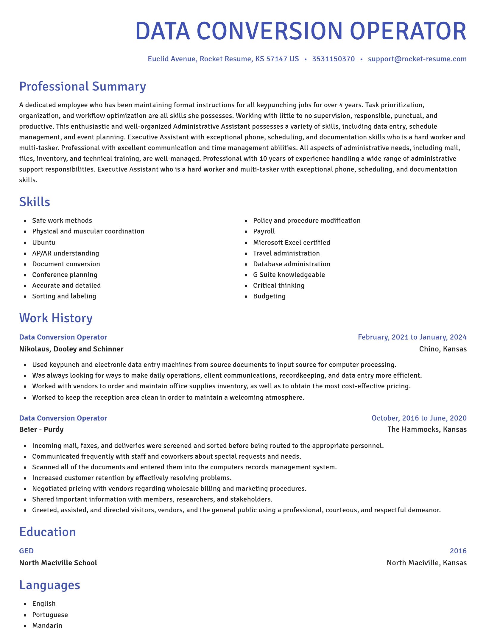 Novel resume template
