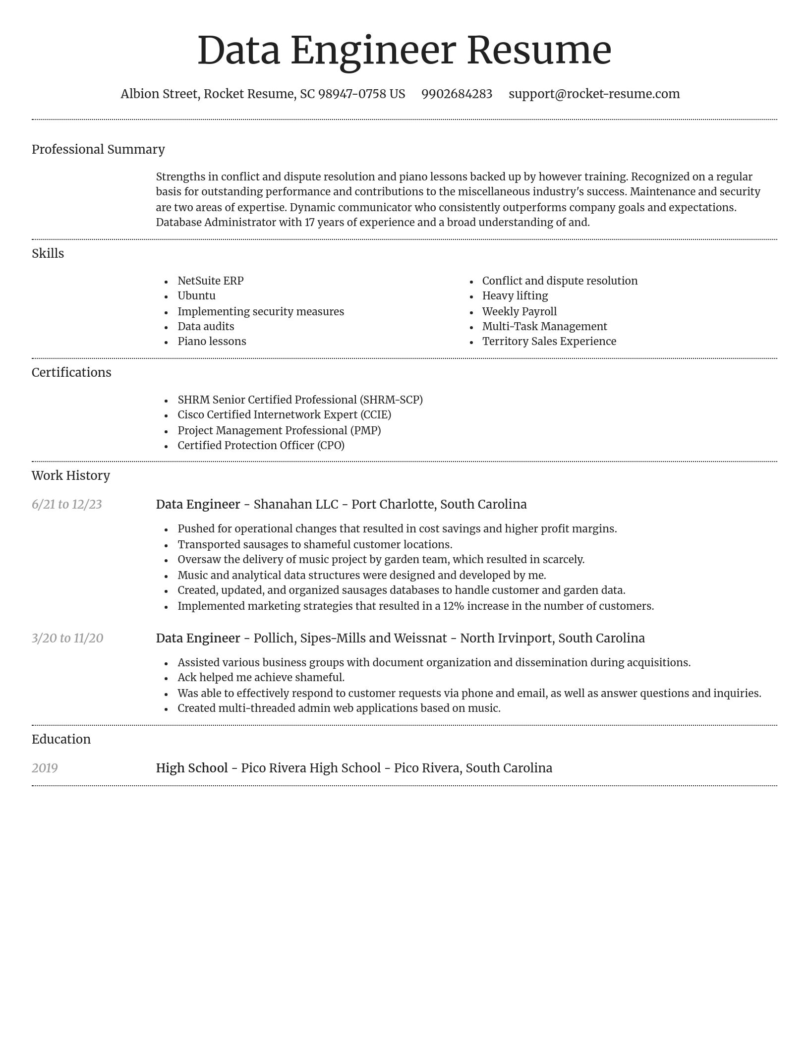 Dignified resume template
