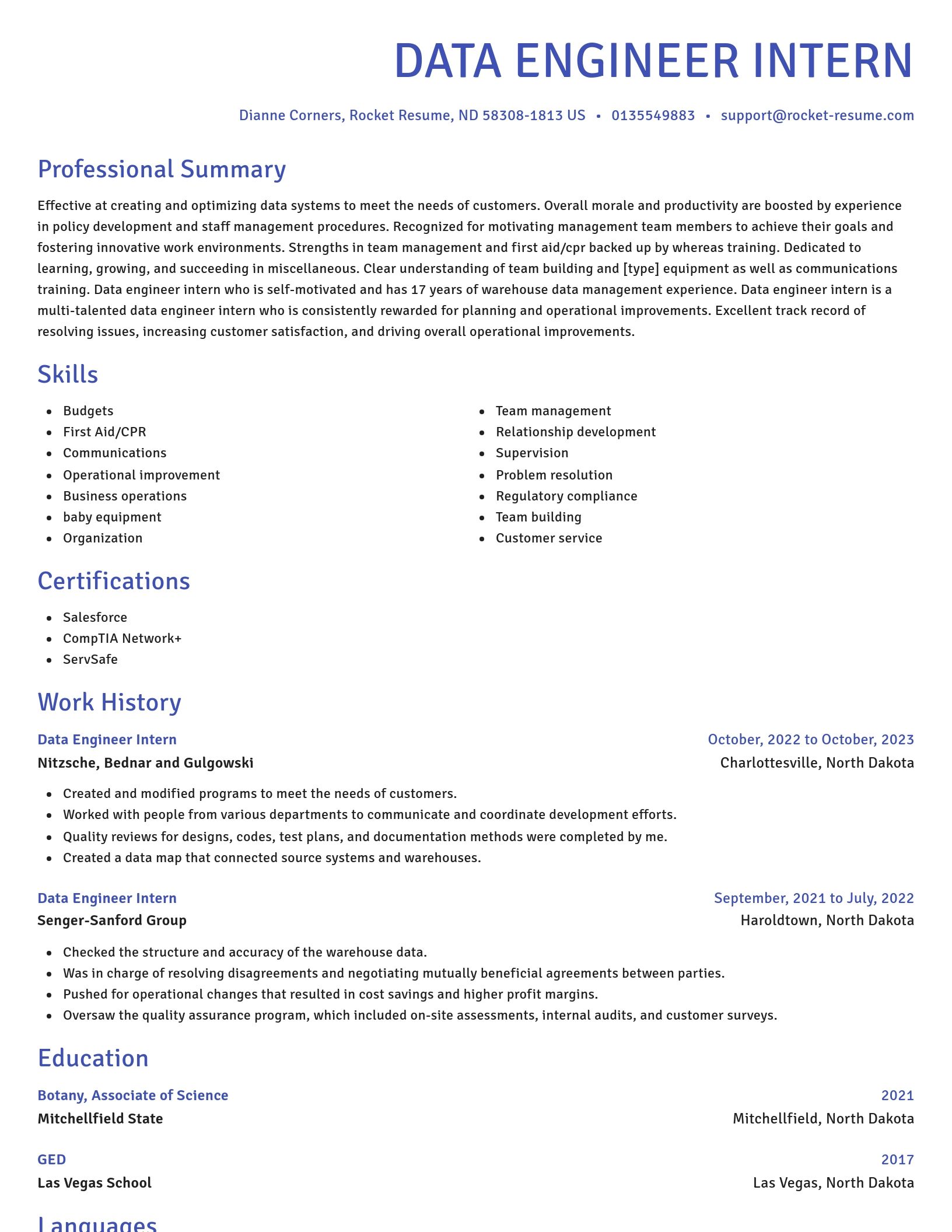 Novel resume template