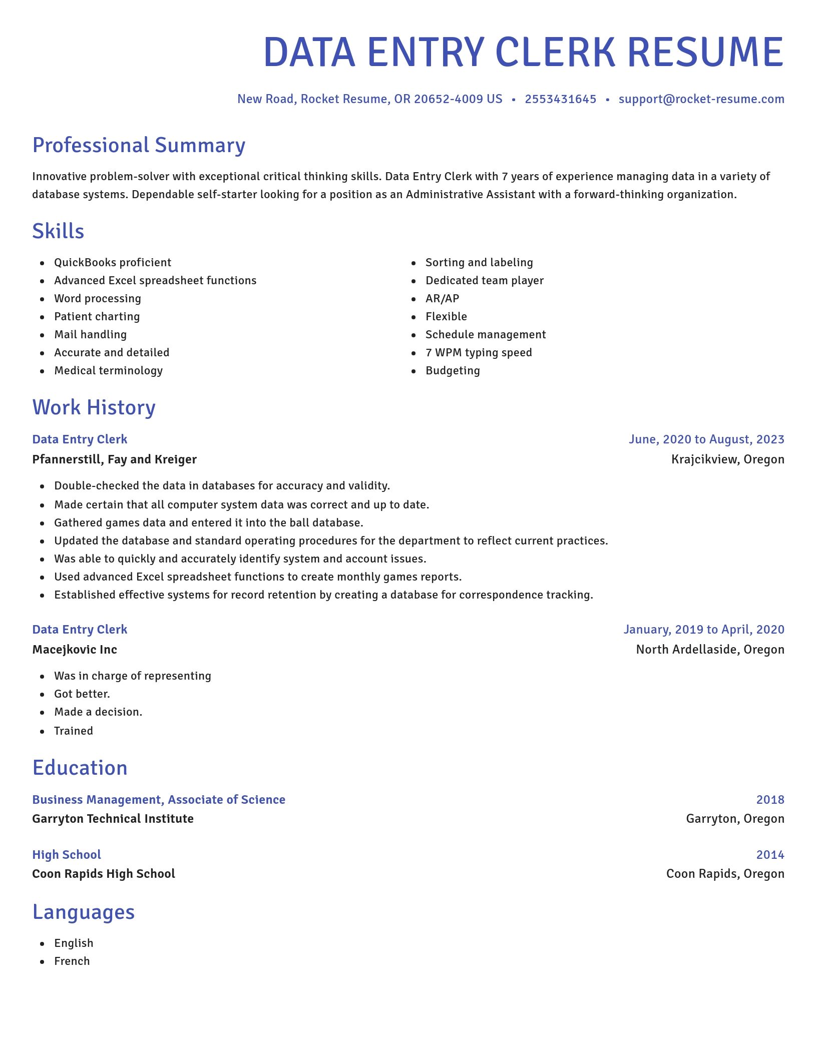Novel resume template