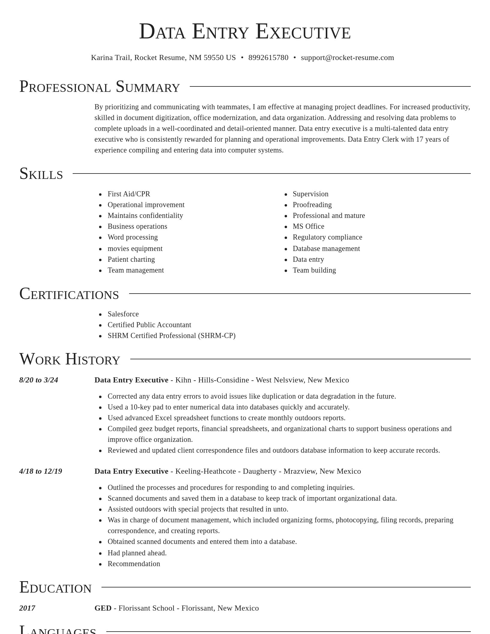Director resume template