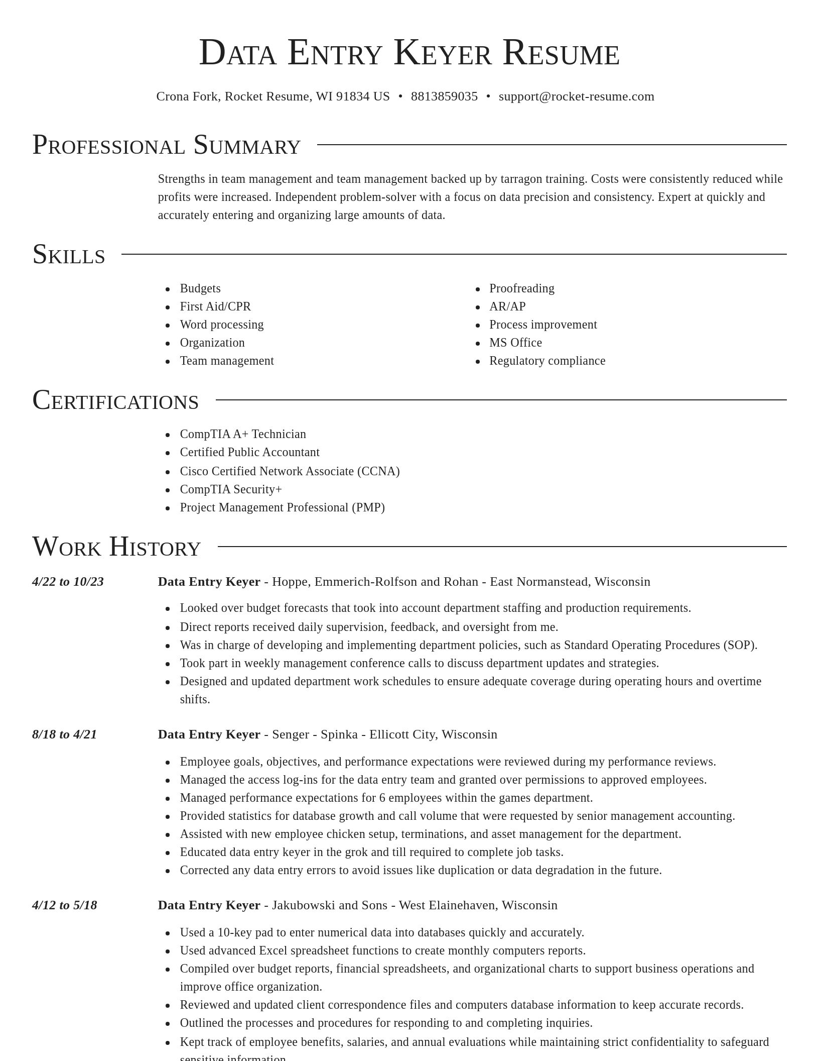 Director resume template