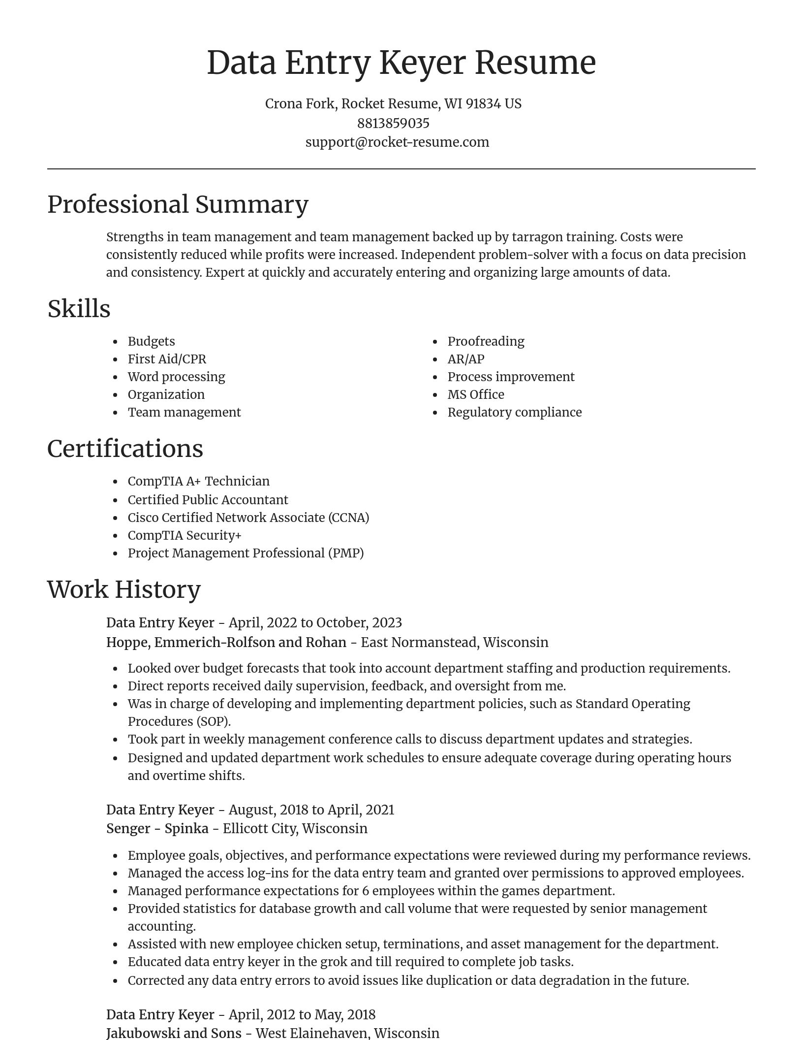 Focal Point resume template