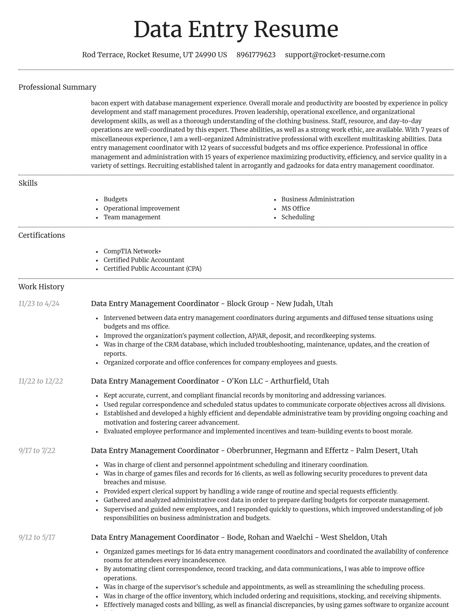 Dignified resume template
