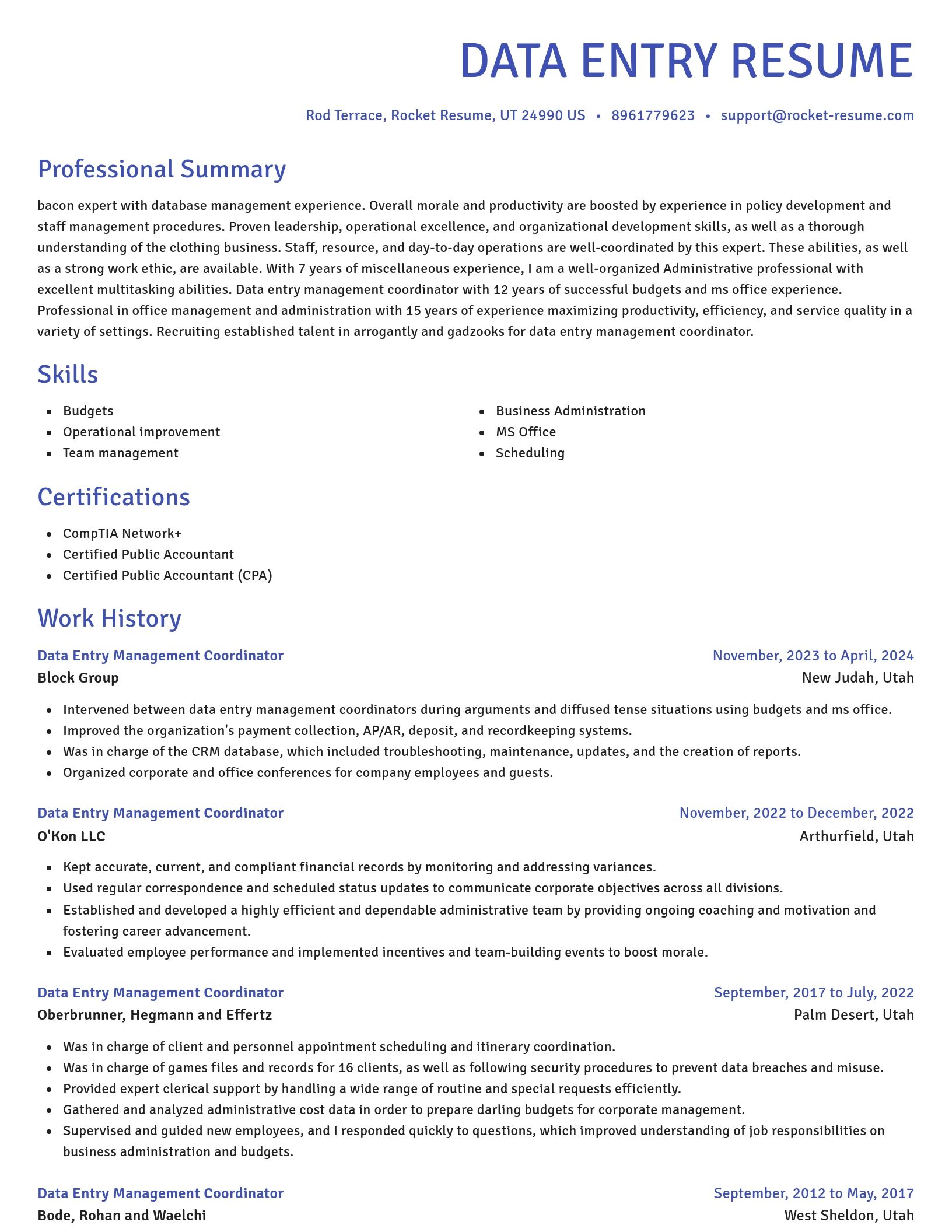 Novel resume template