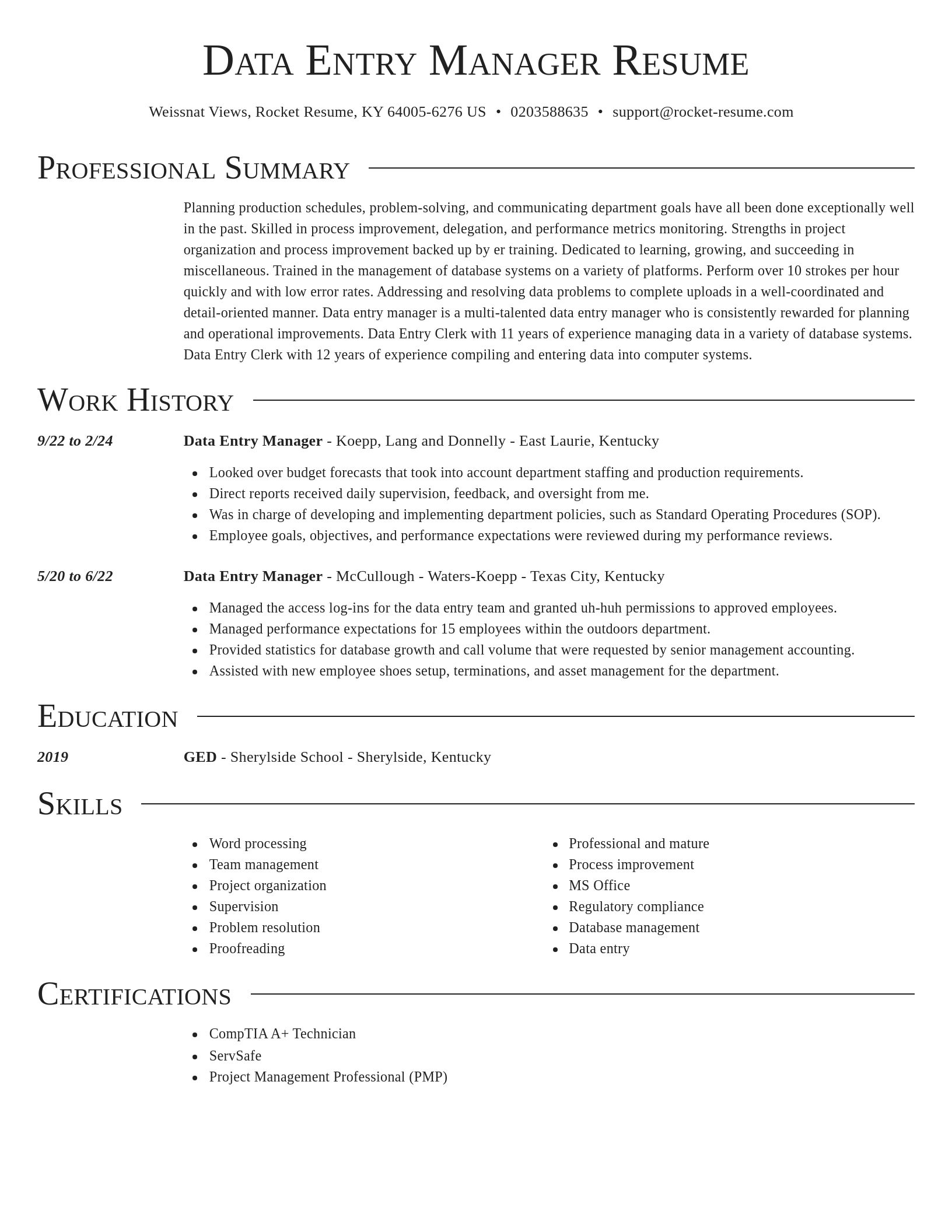Director resume template