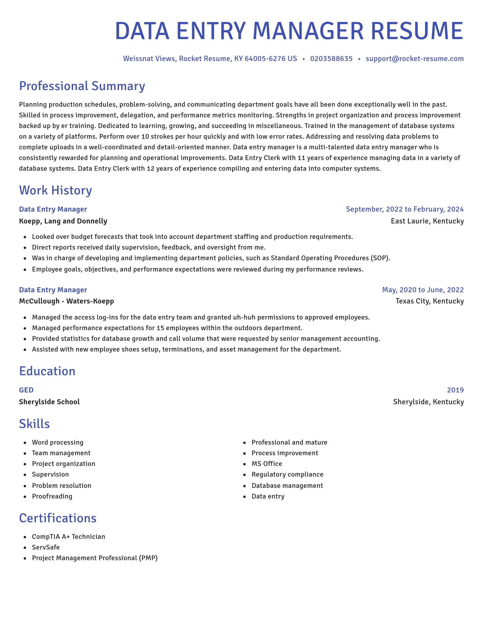 Novel resume template