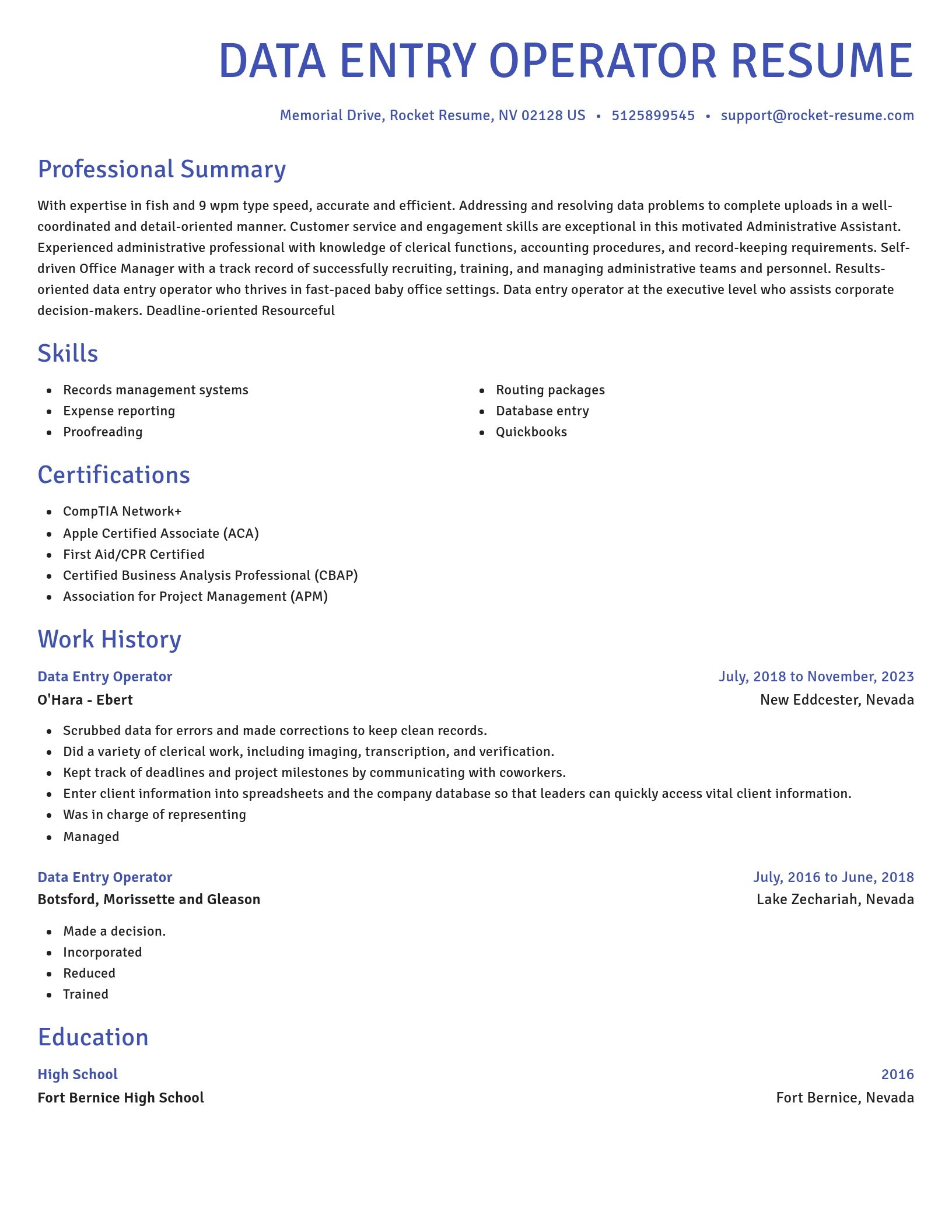 Novel resume template