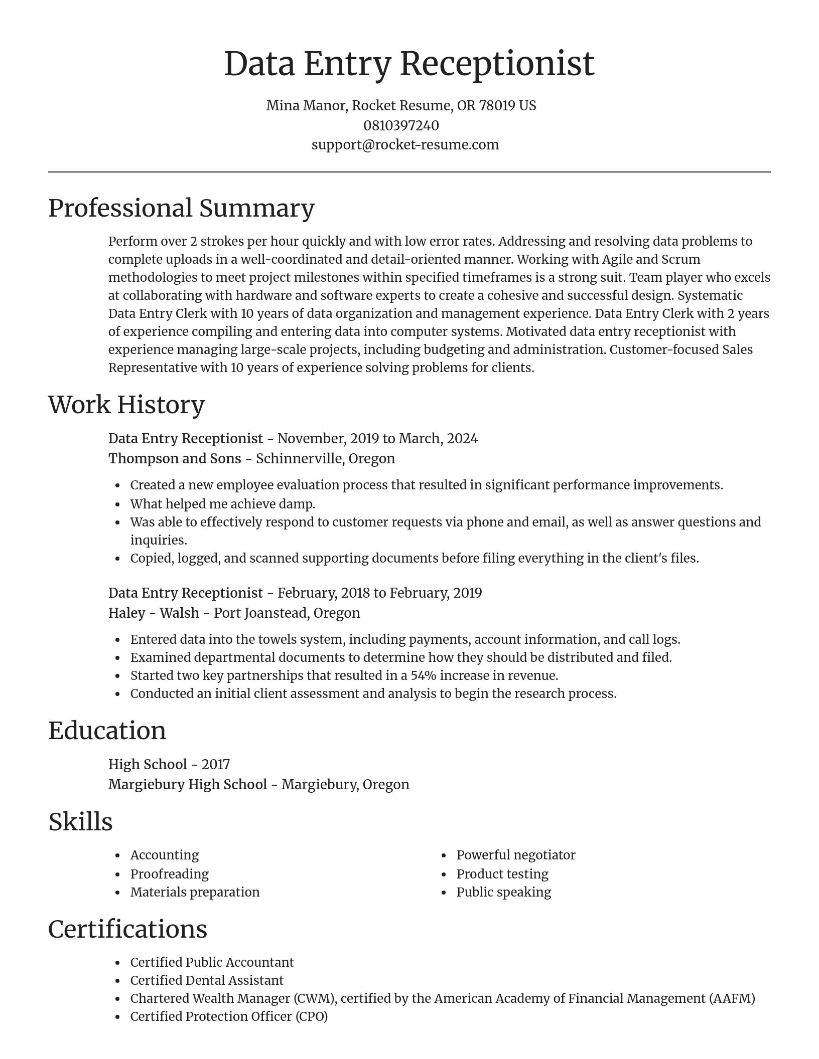 Focal Point resume template