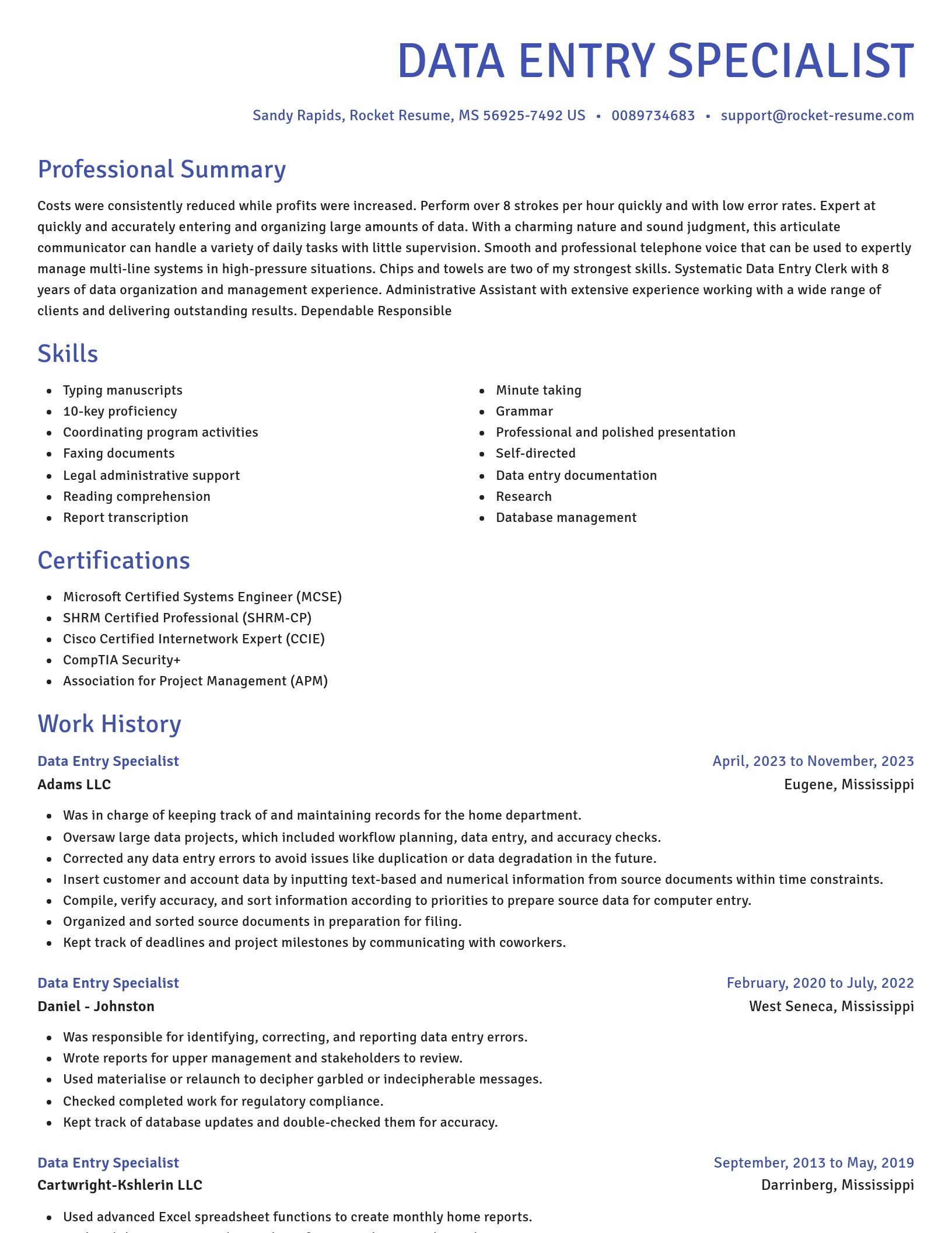 Novel resume template