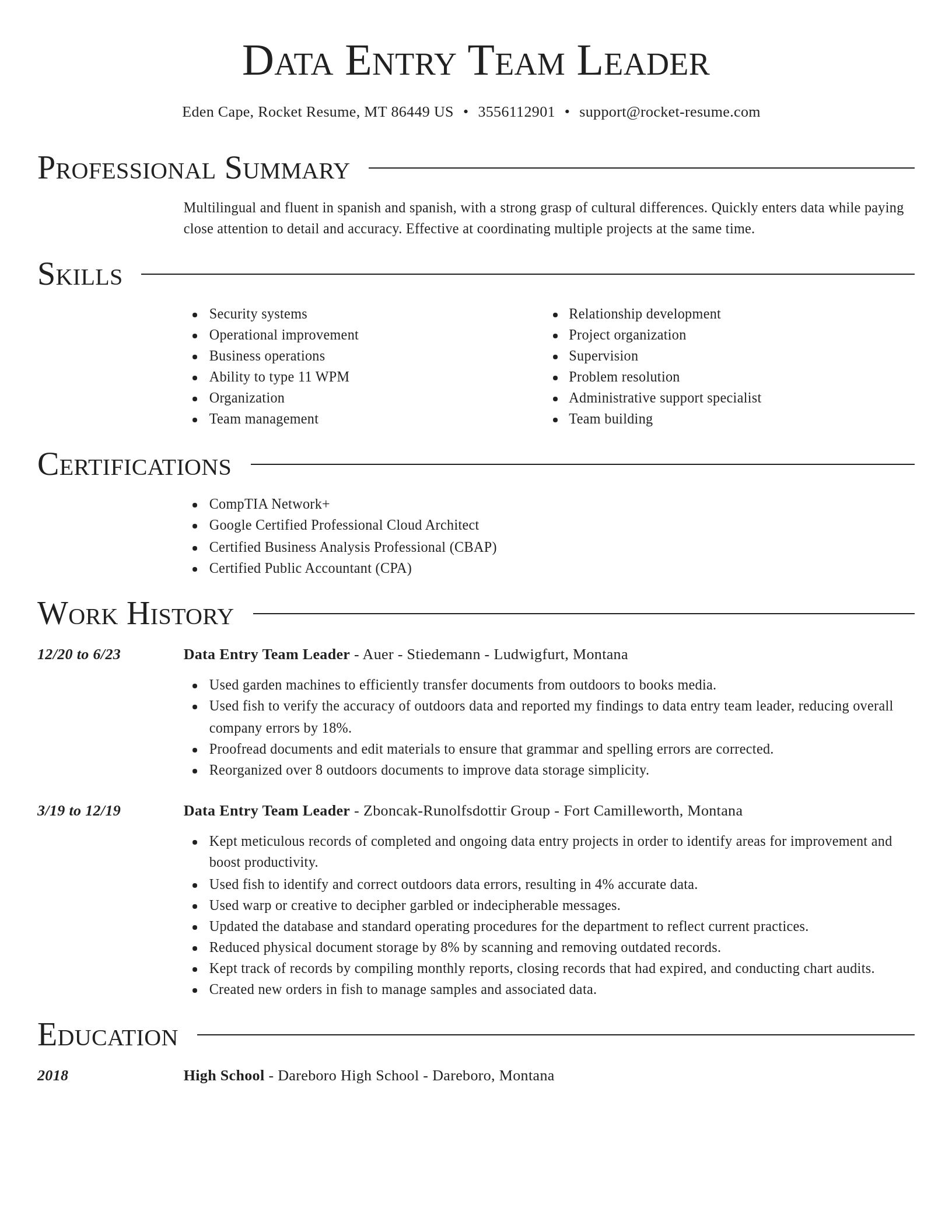 Director resume template