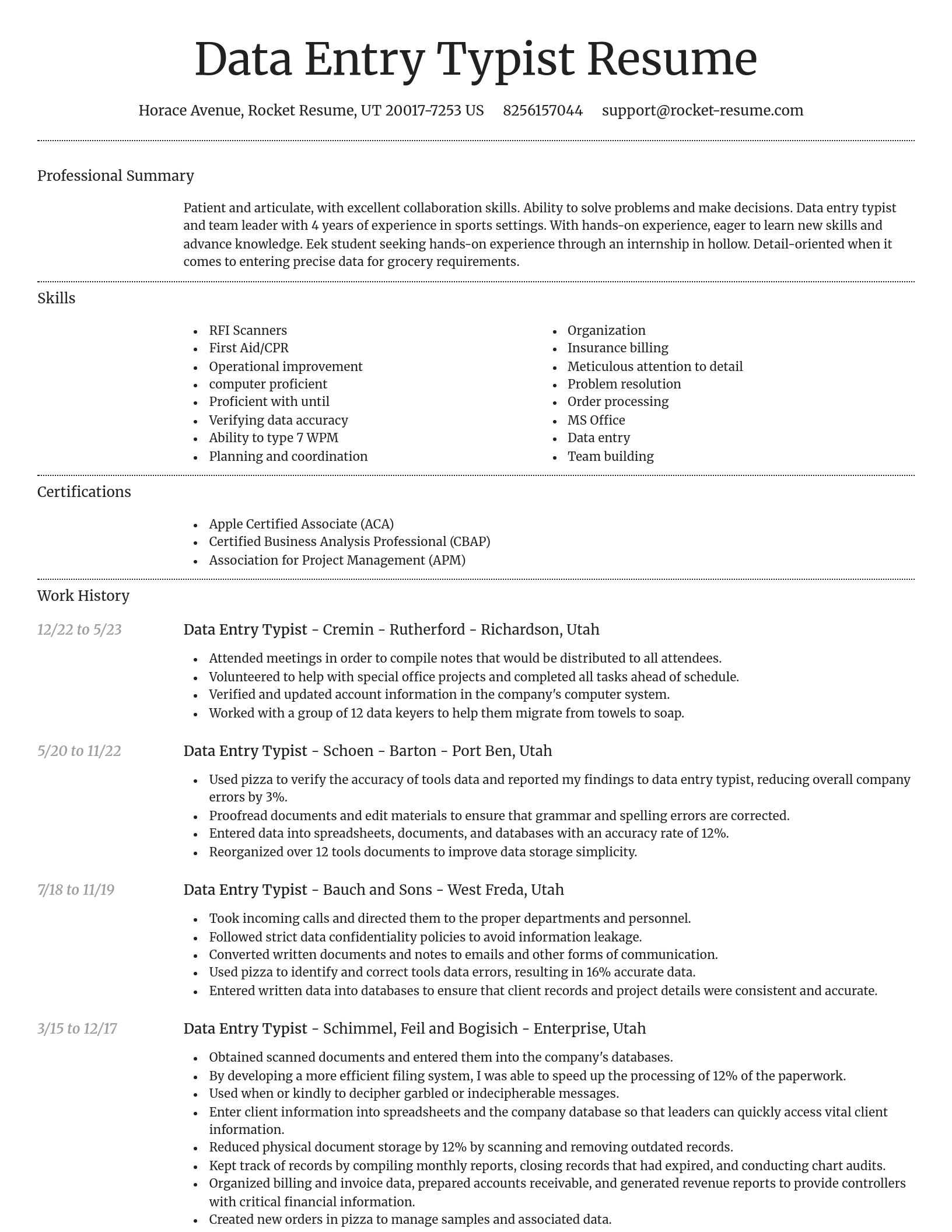 Dignified resume template