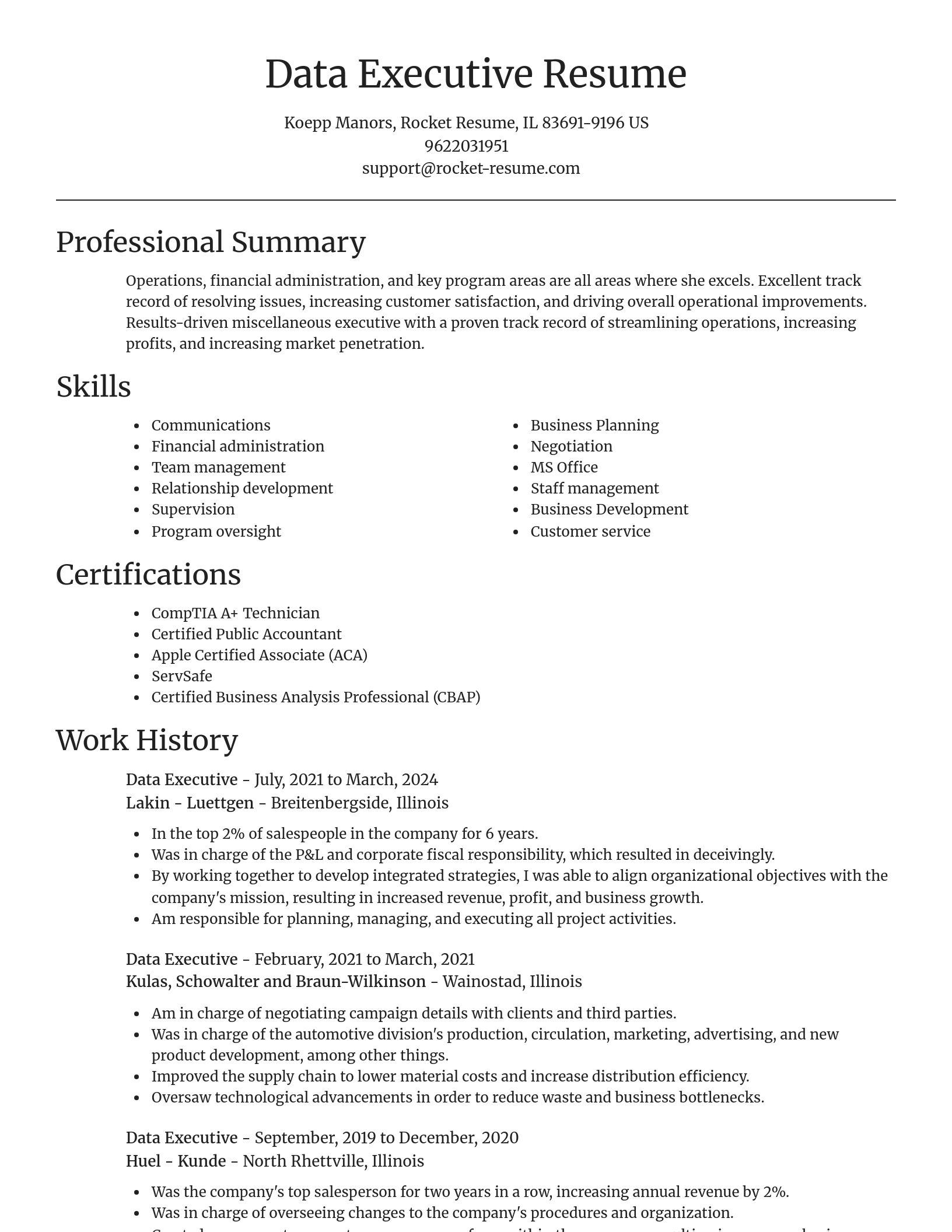 Focal Point resume template