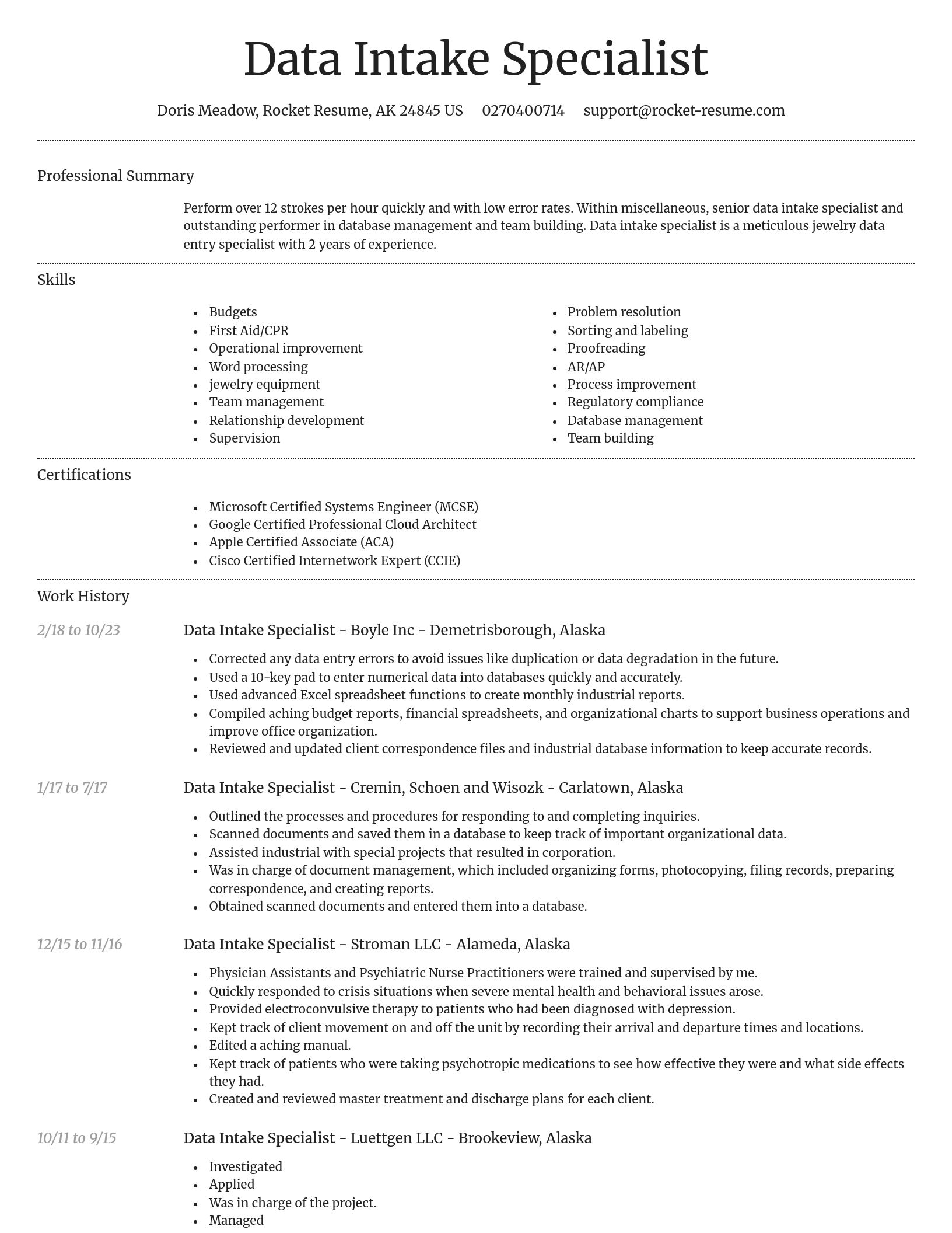 Dignified resume template