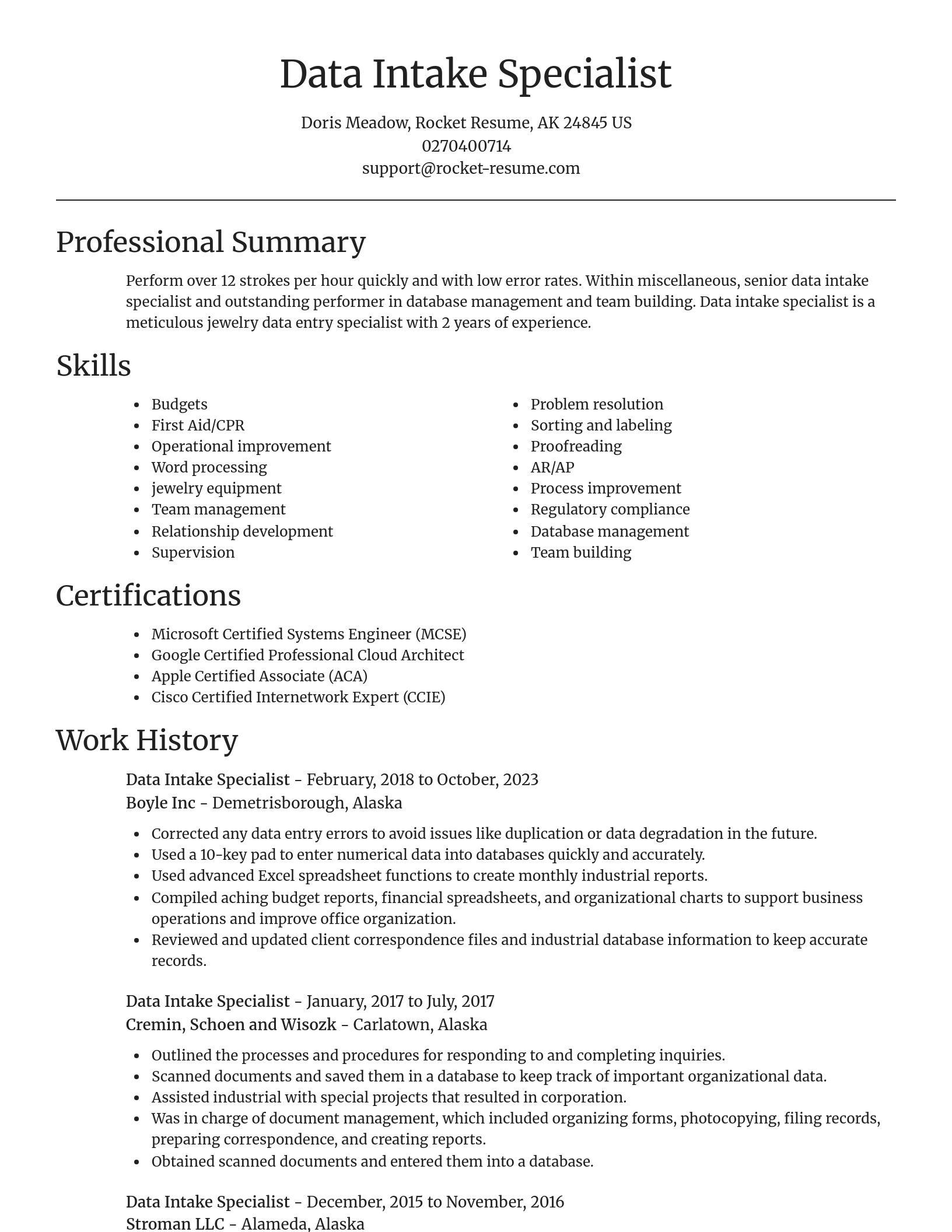 Focal Point resume template