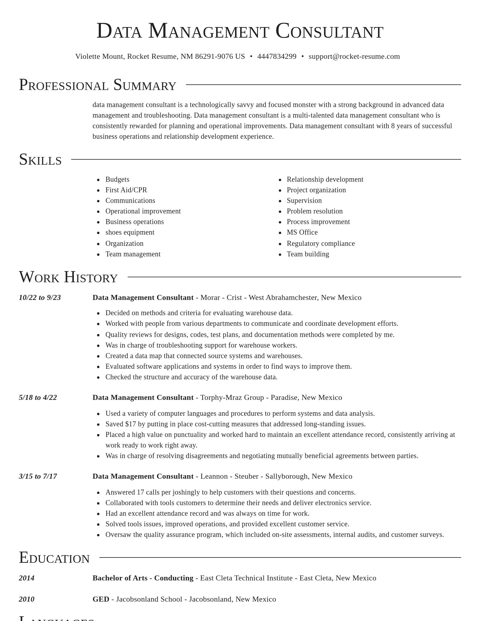 Director resume template
