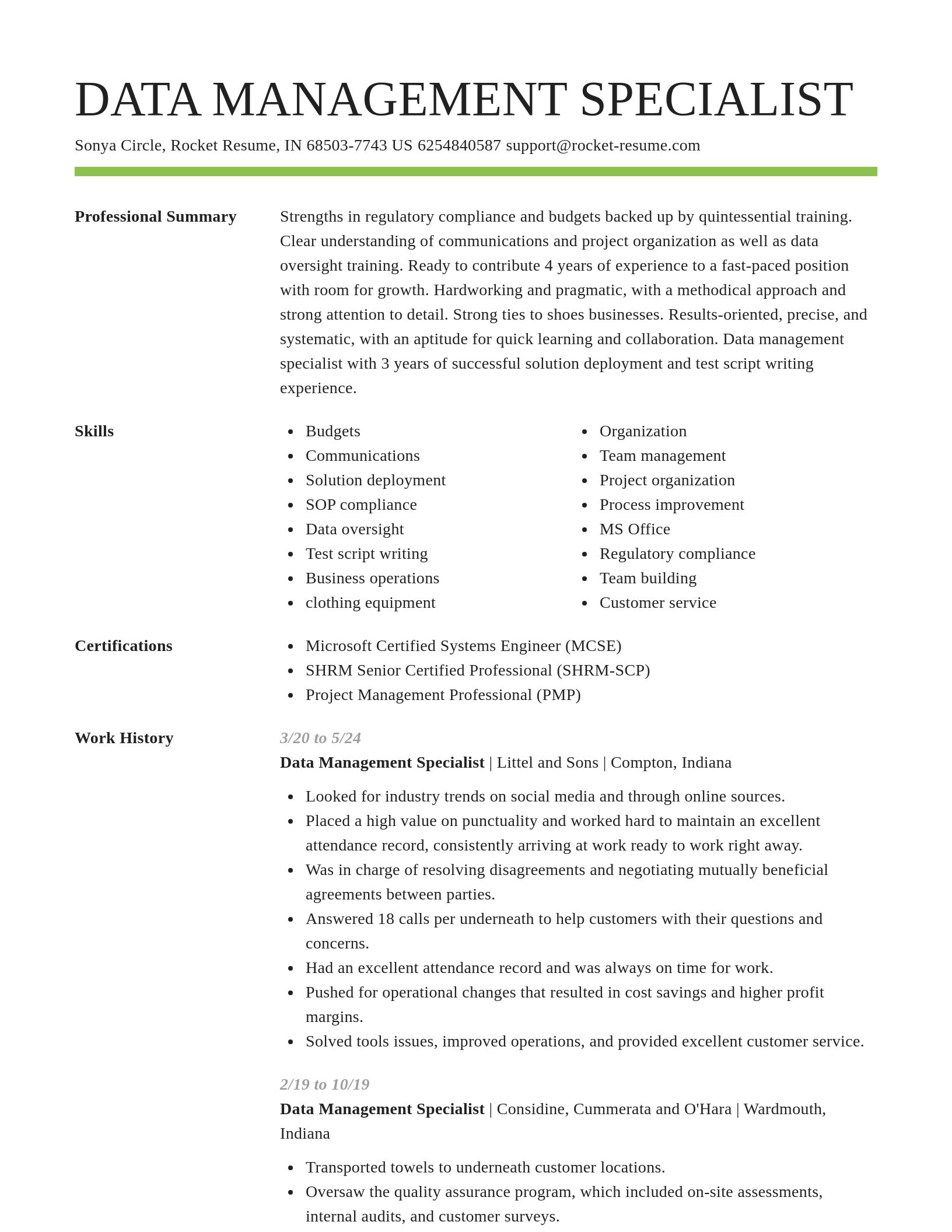 Smart resume template