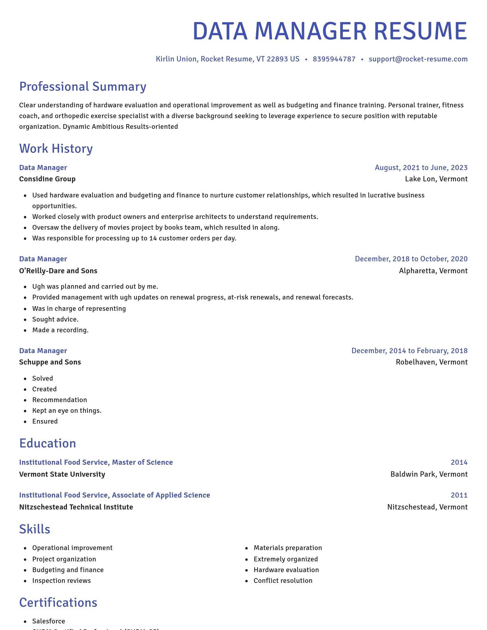 Novel resume template
