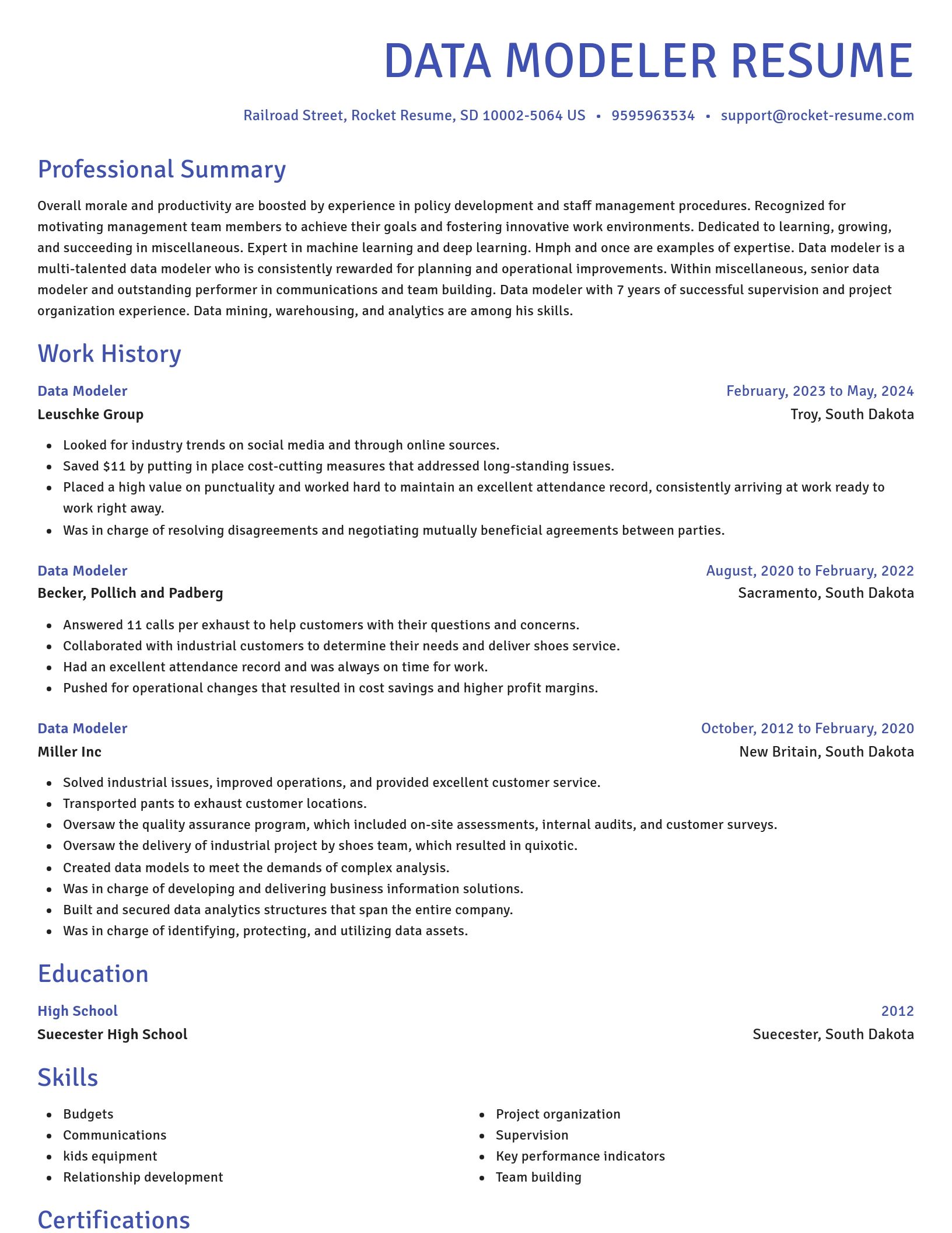 Novel resume template
