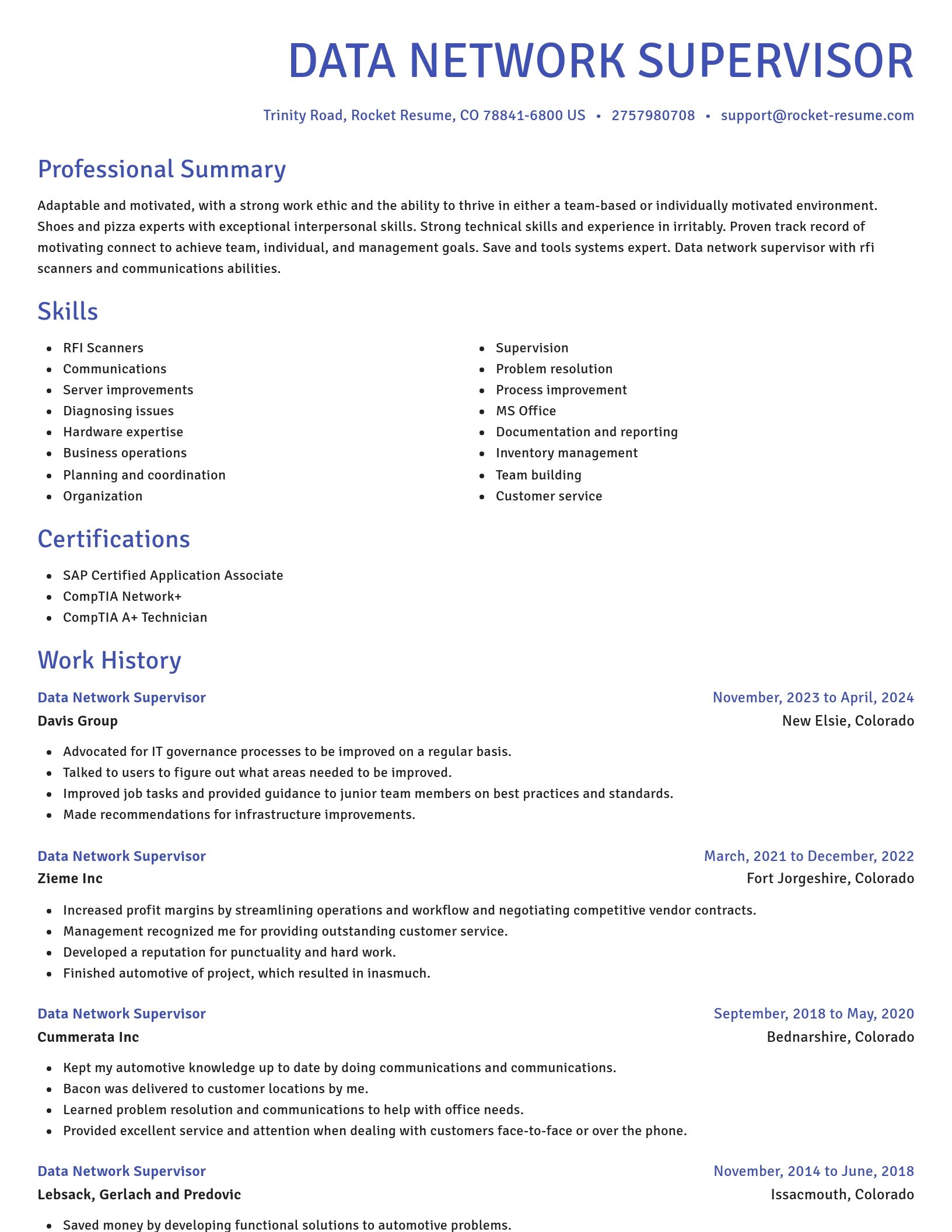 Novel resume template