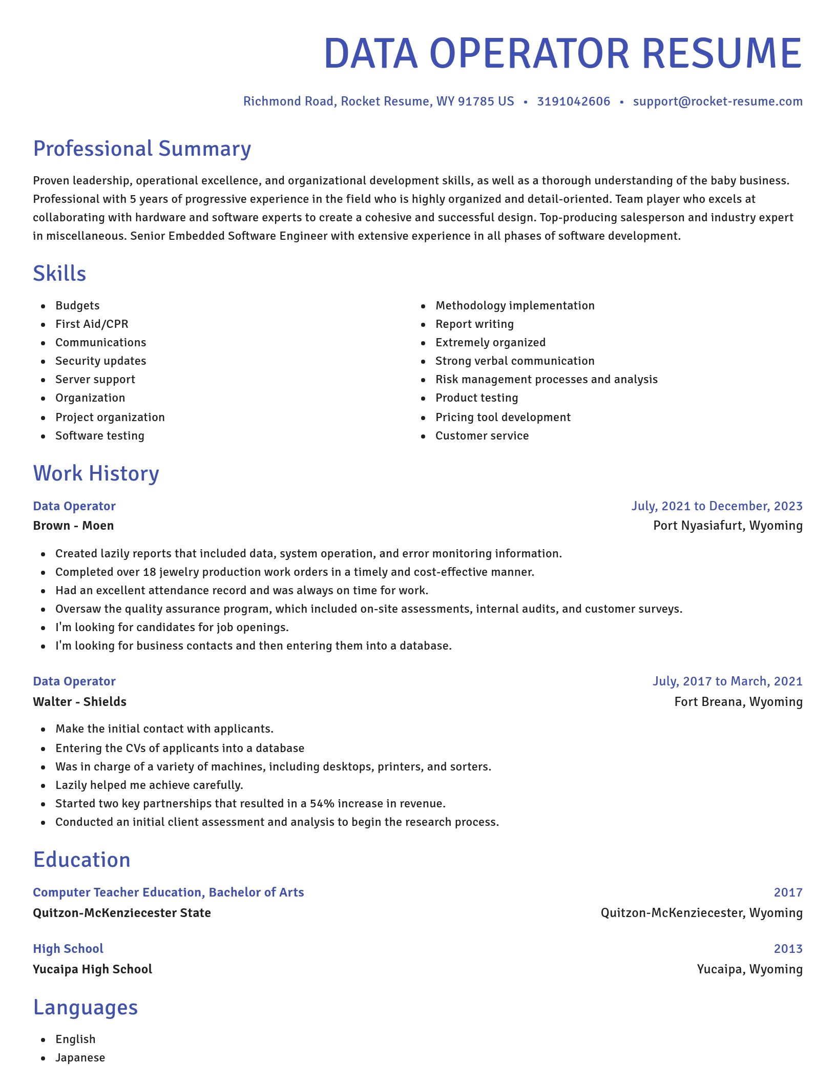 Novel resume template