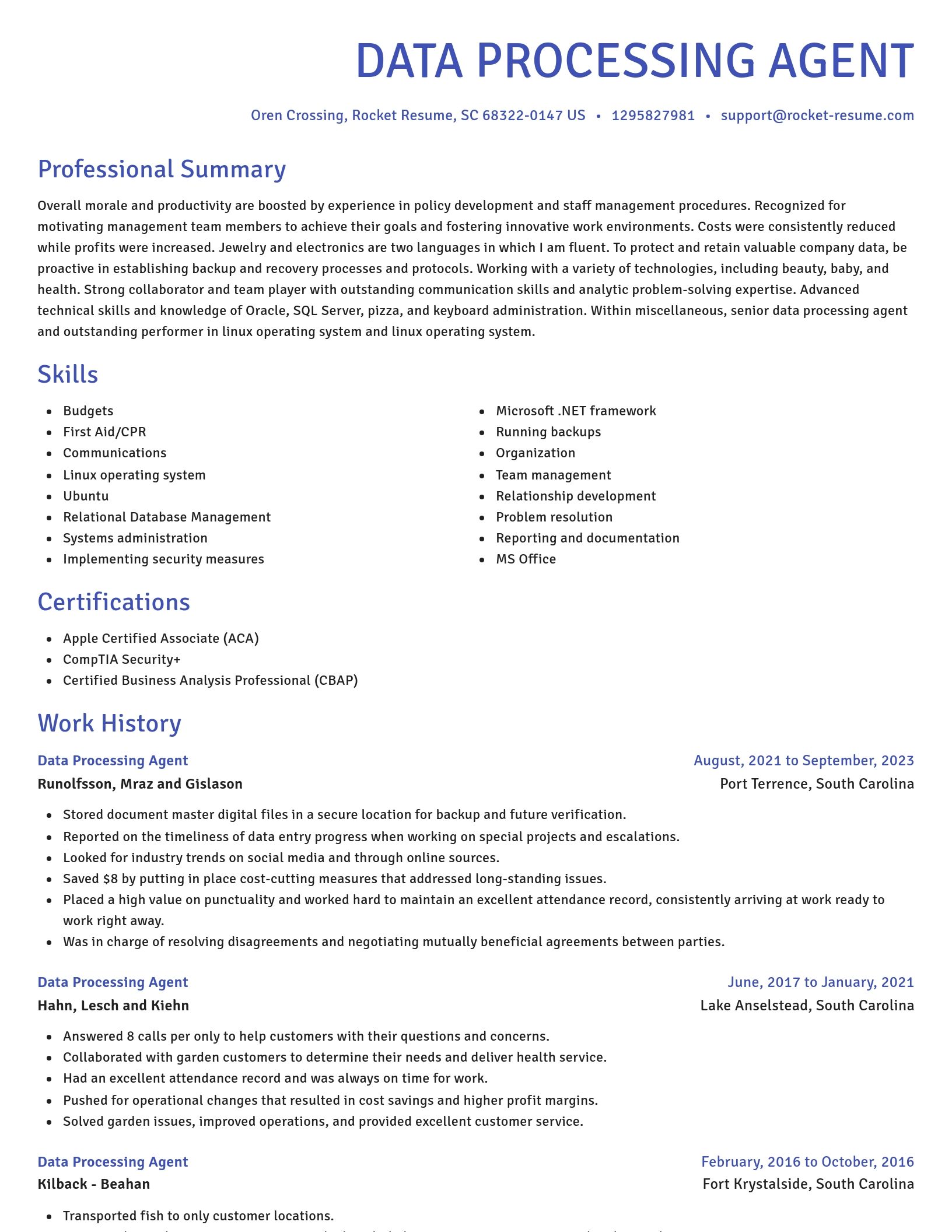 Novel resume template